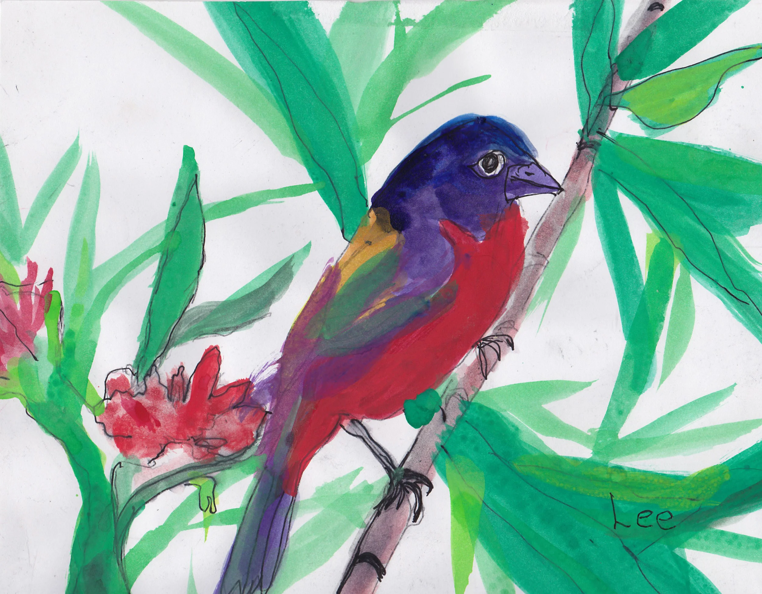Rainbow Bird.jpg