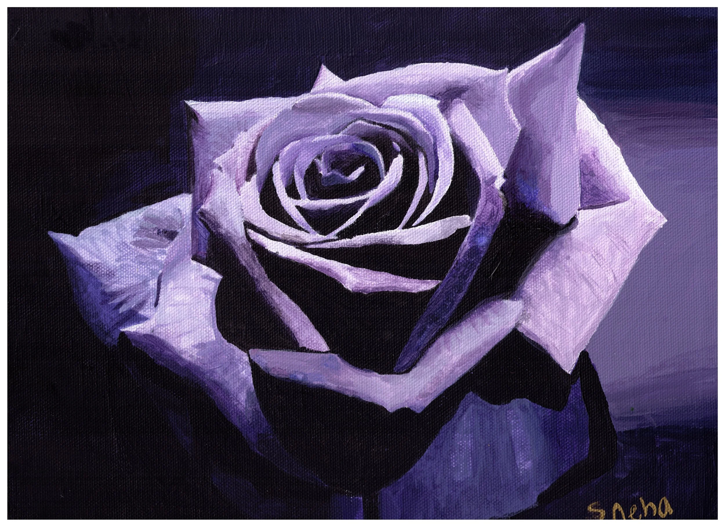 Sneha_purple-Rose.jpg