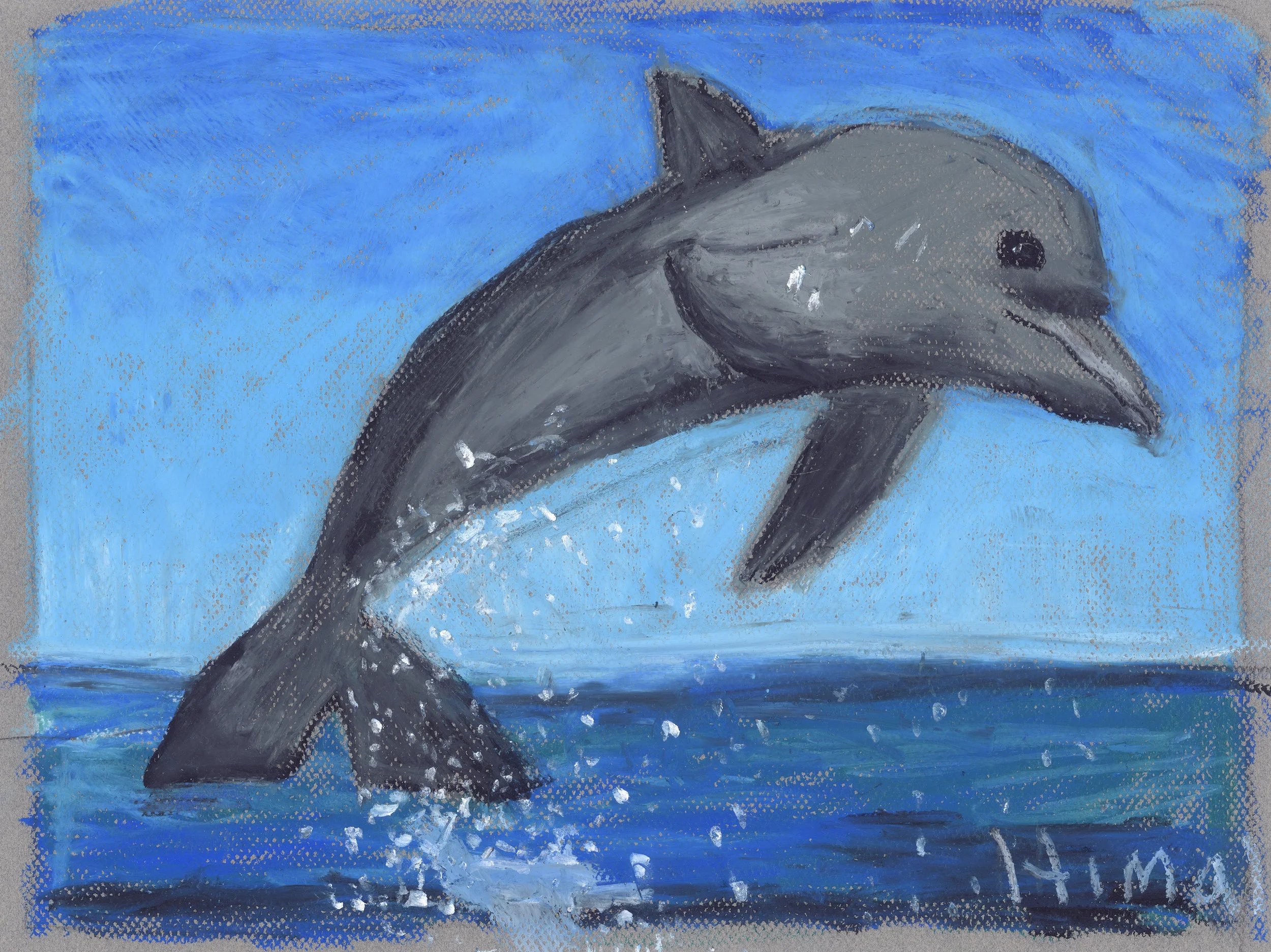 Dolphin.jpg
