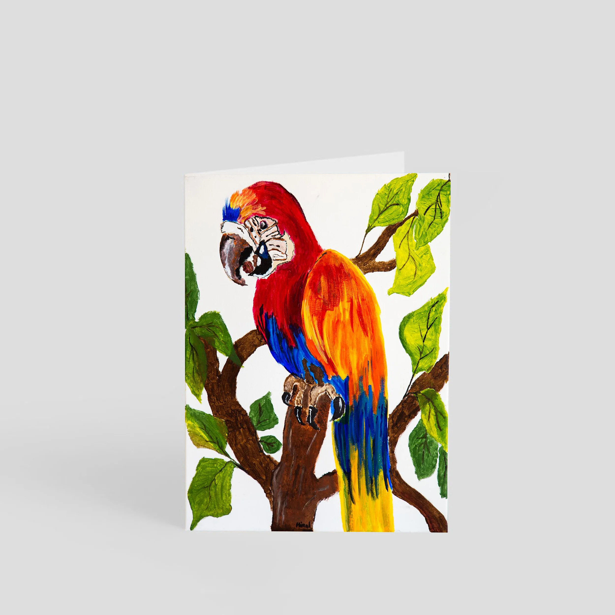 Macaw.jpg