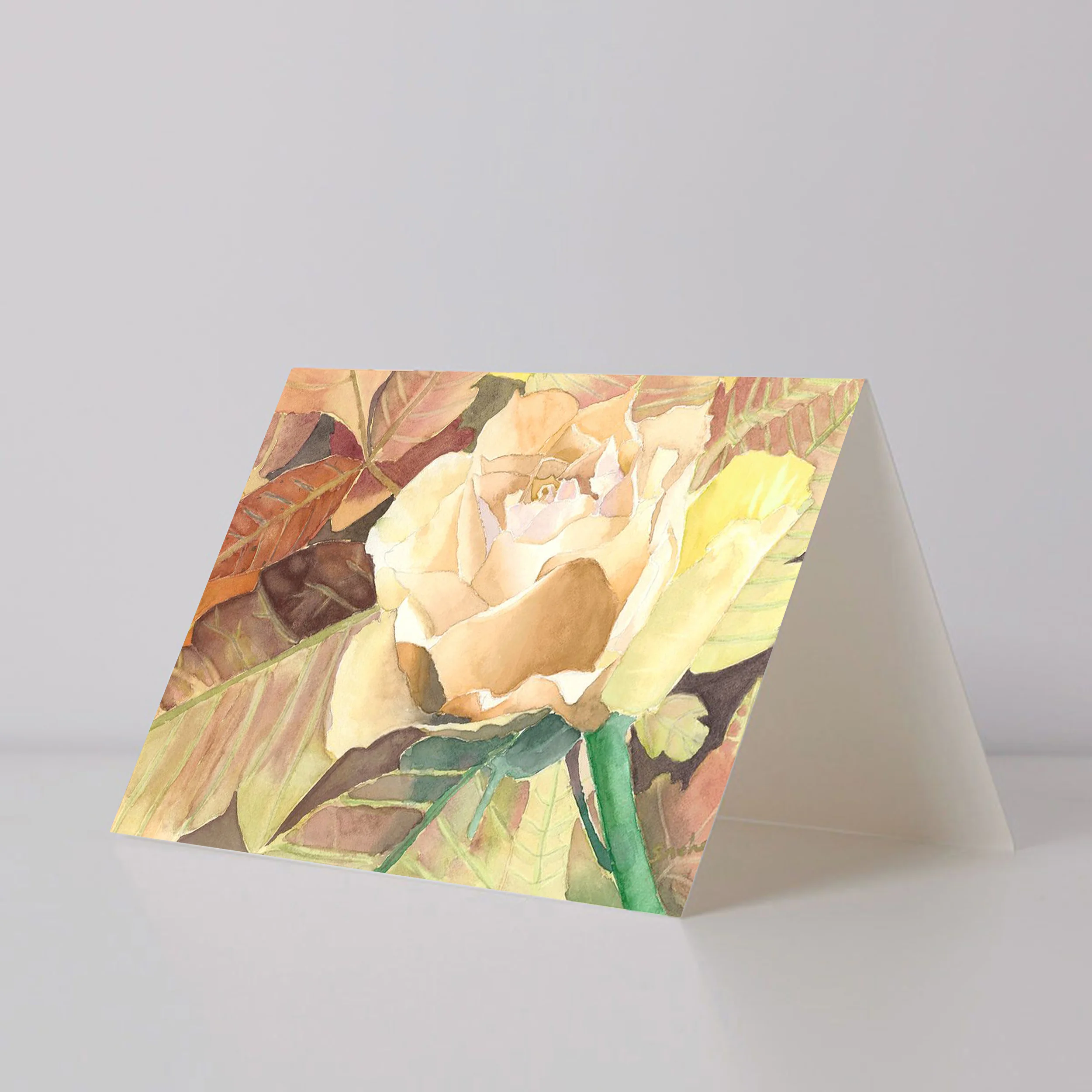 Cream Rose.jpg