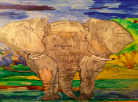 Elephant