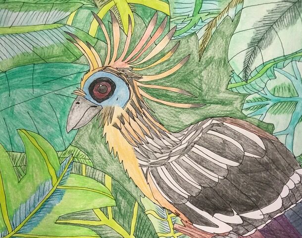 birdArt.jpeg