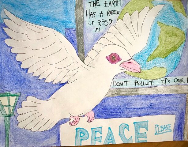 doveArt.jpeg