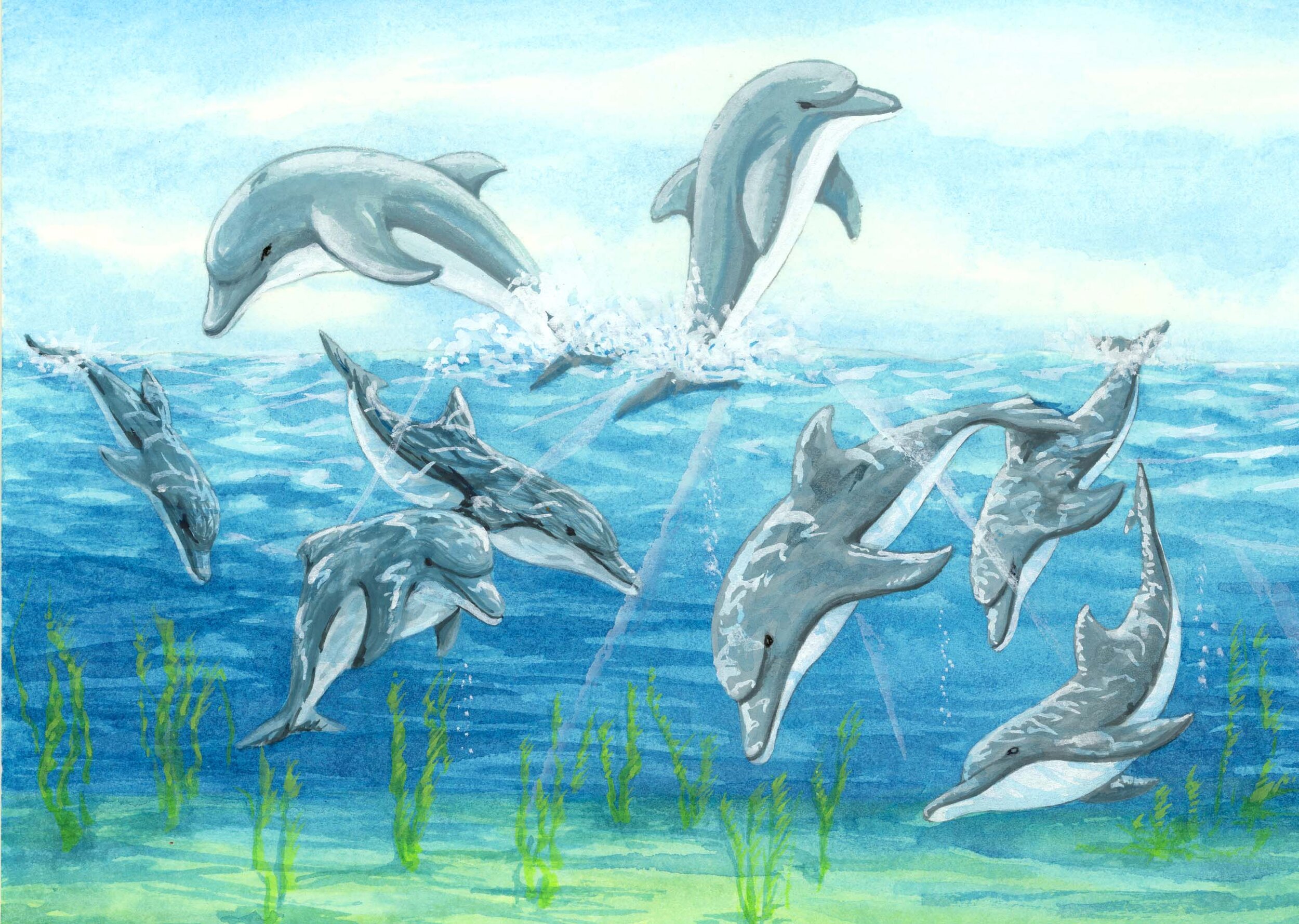 Dolphins.jpg
