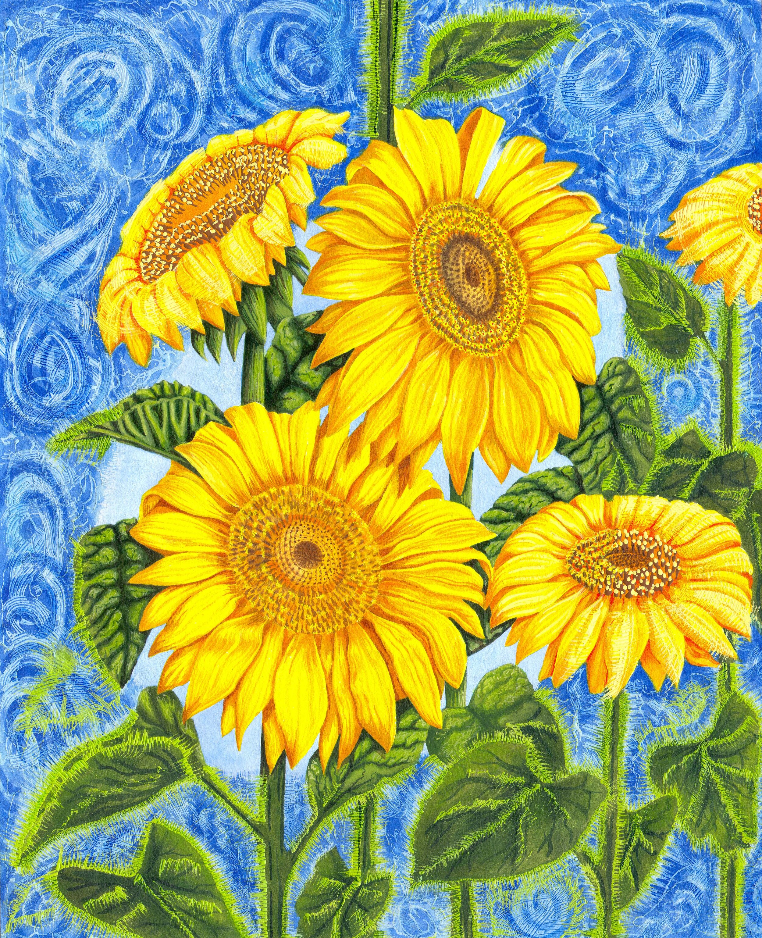 Sunflowers (1).jpg