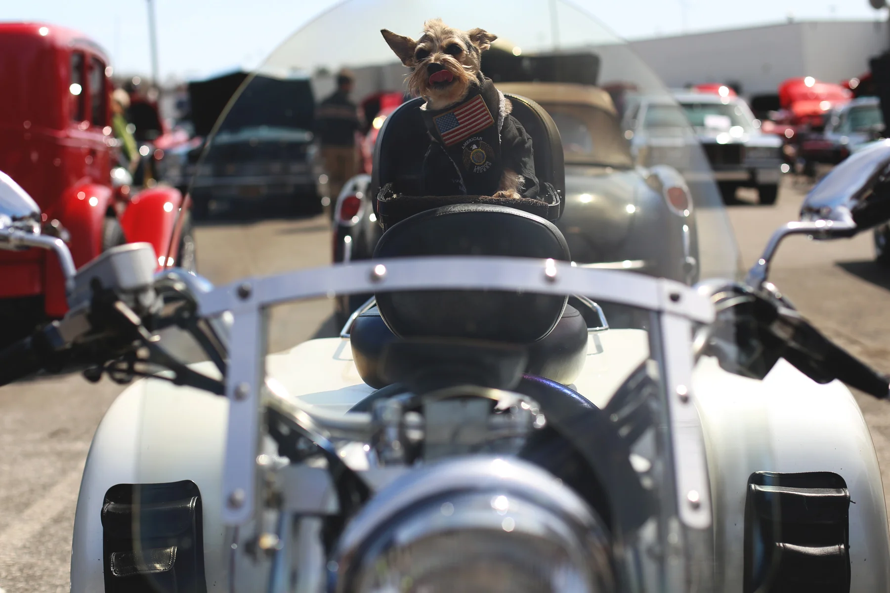 Project 365: Days 85-91