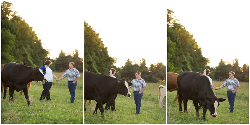 ...and of course we can't forget about photobomb cow!