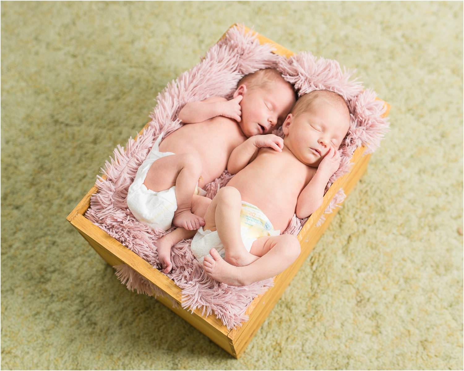 Twins-Newborn-Photos-Maryland_0095.jpg