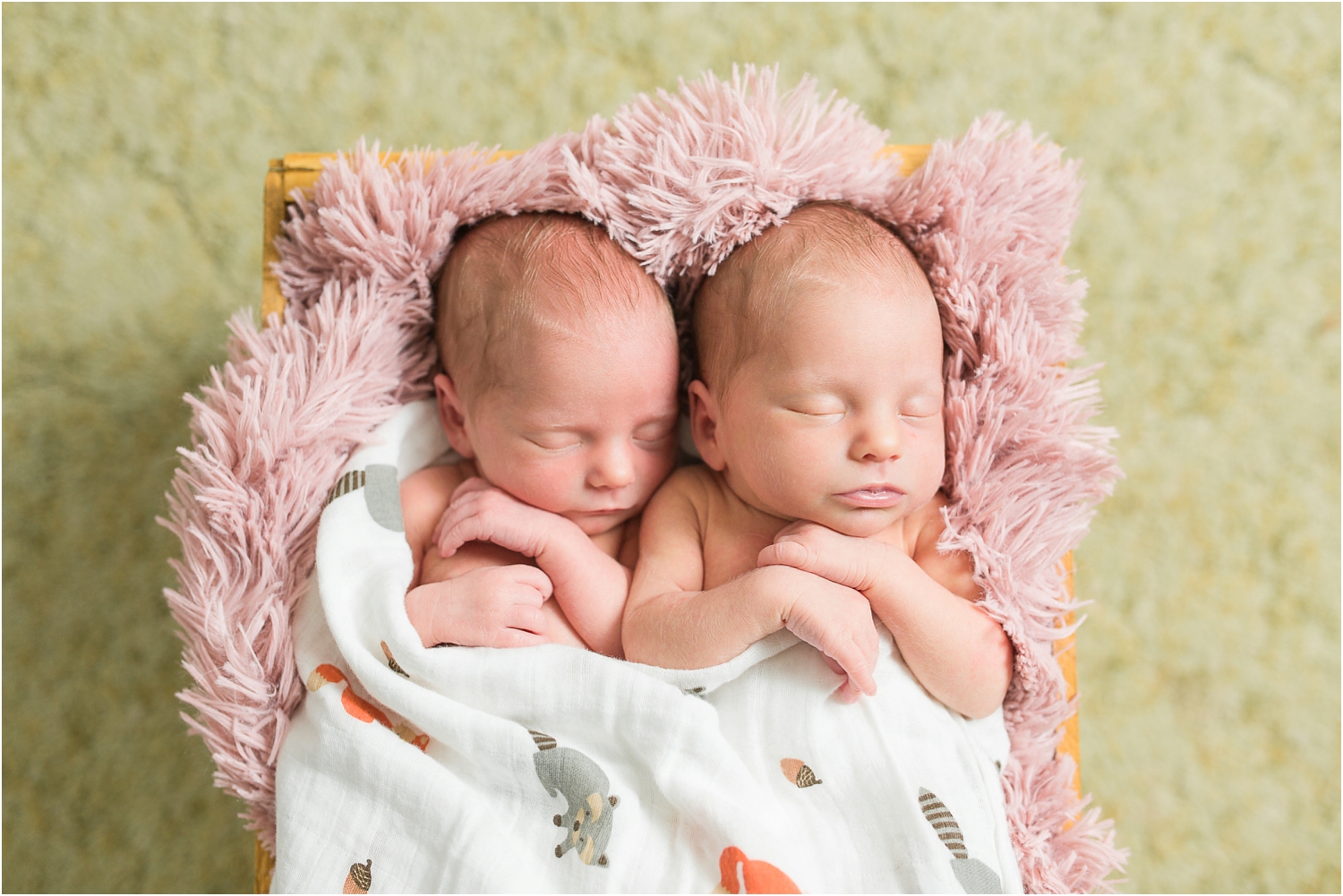 Twins-Newborn-Photos-Maryland_0096.jpg