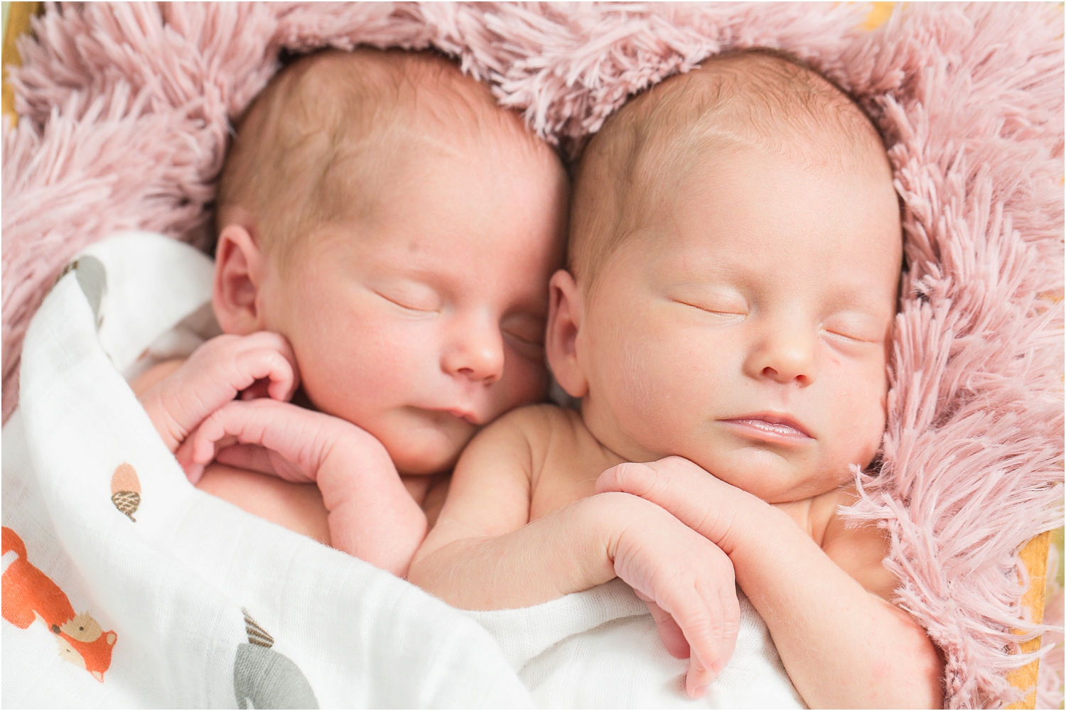 Twins-Newborn-Photos-Maryland_0097.jpg