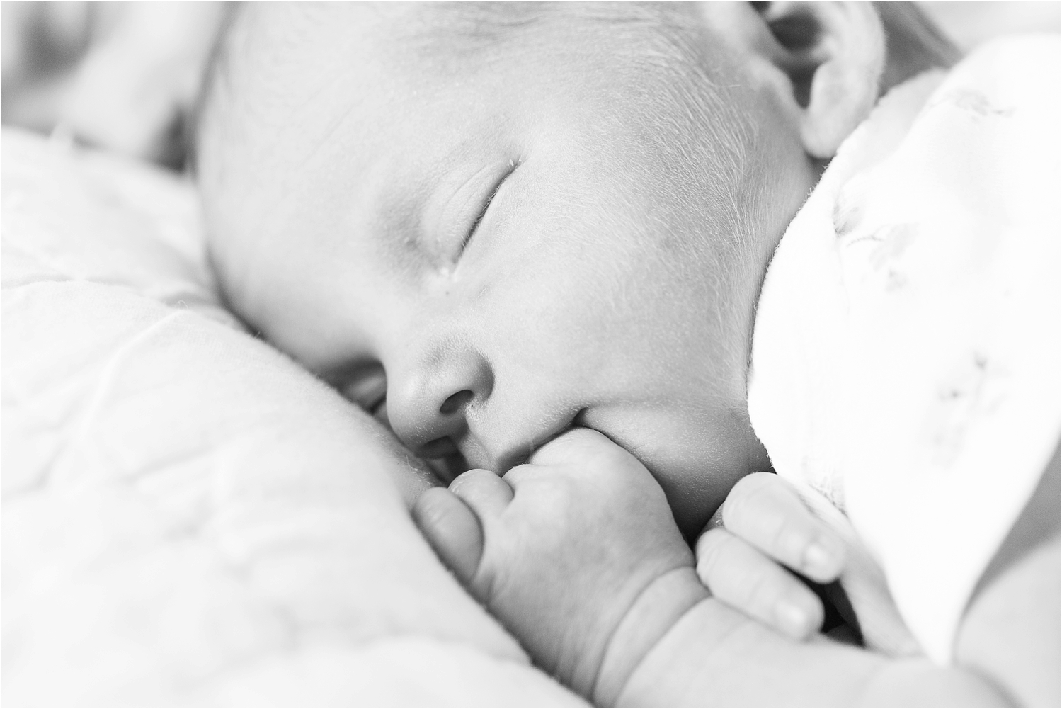 Twins-Newborn-Photos-Maryland_0100.jpg