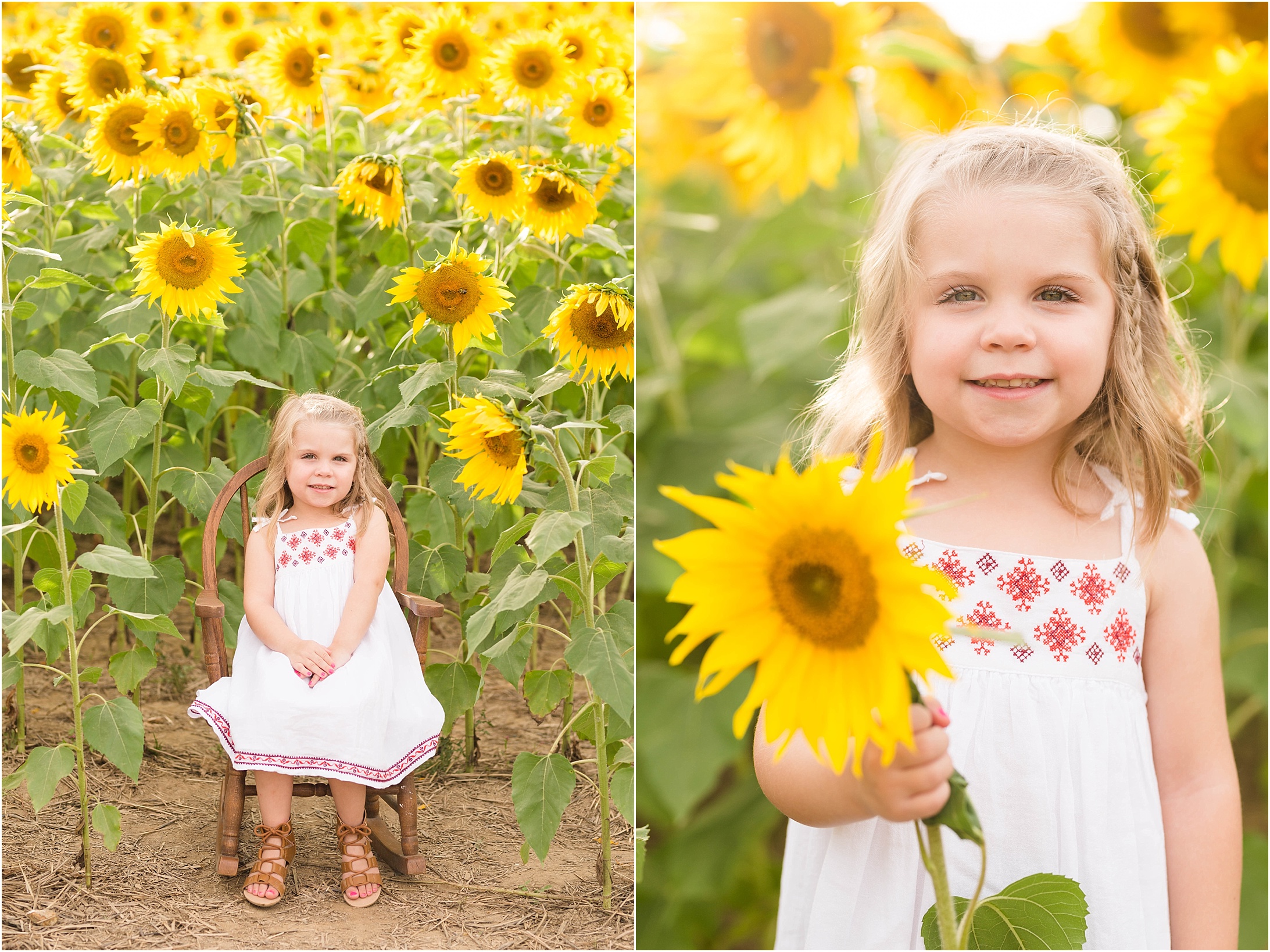 carroll-county-photographer-sunflower-field-4.jpg