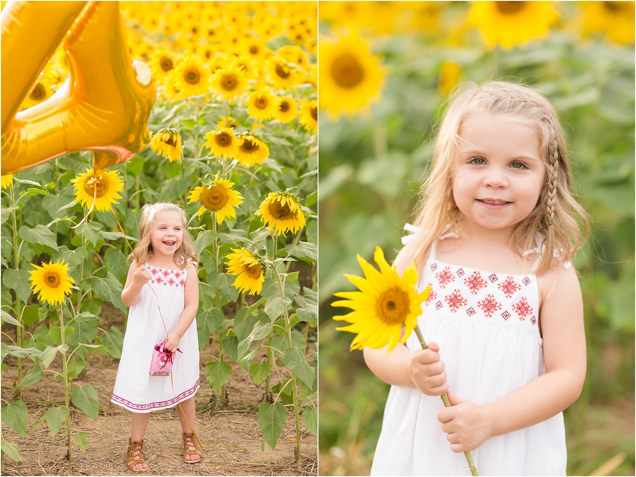 carroll-county-photographer-sunflower-field-14.jpg