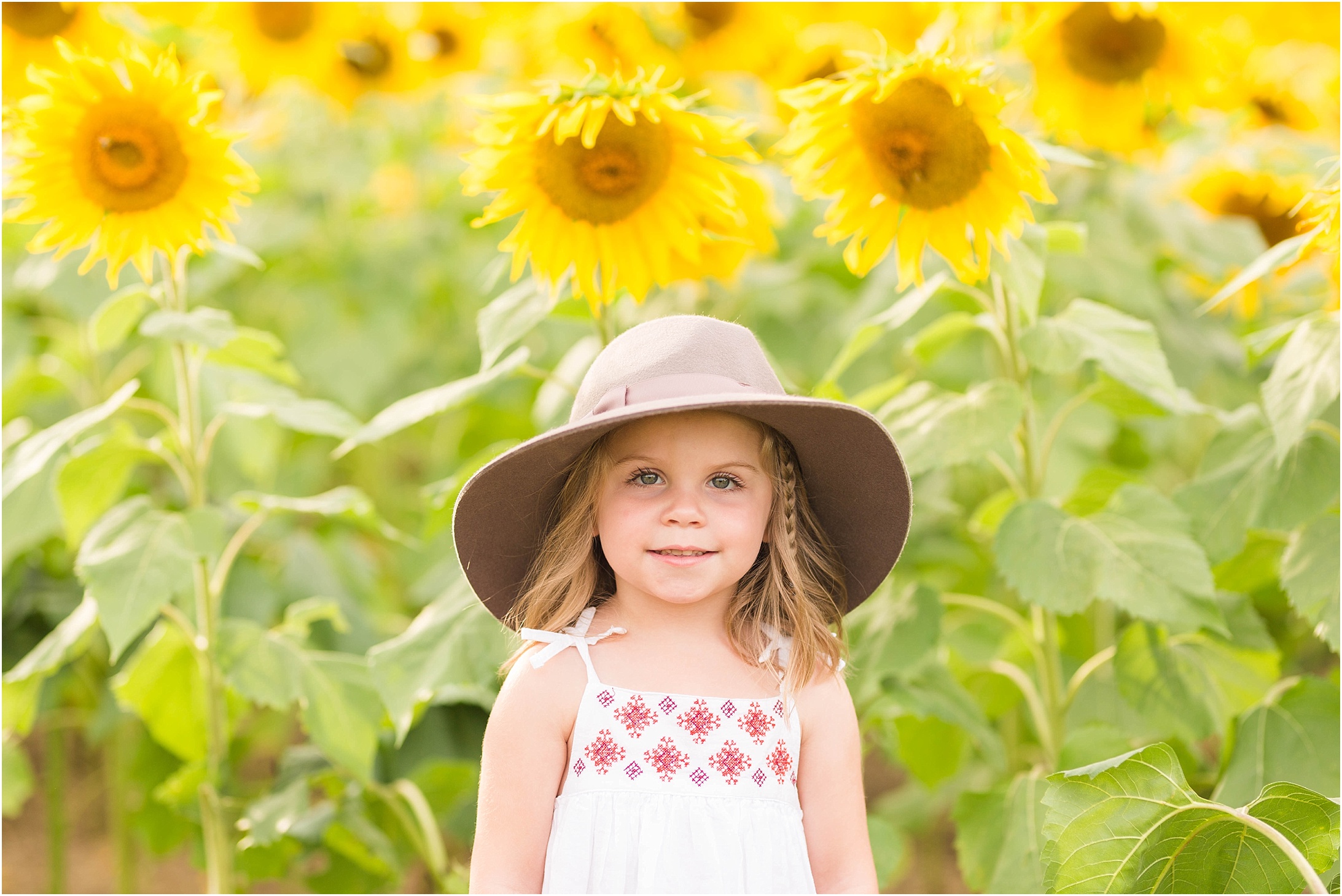 carroll-county-photographer-sunflower-field-15.jpg