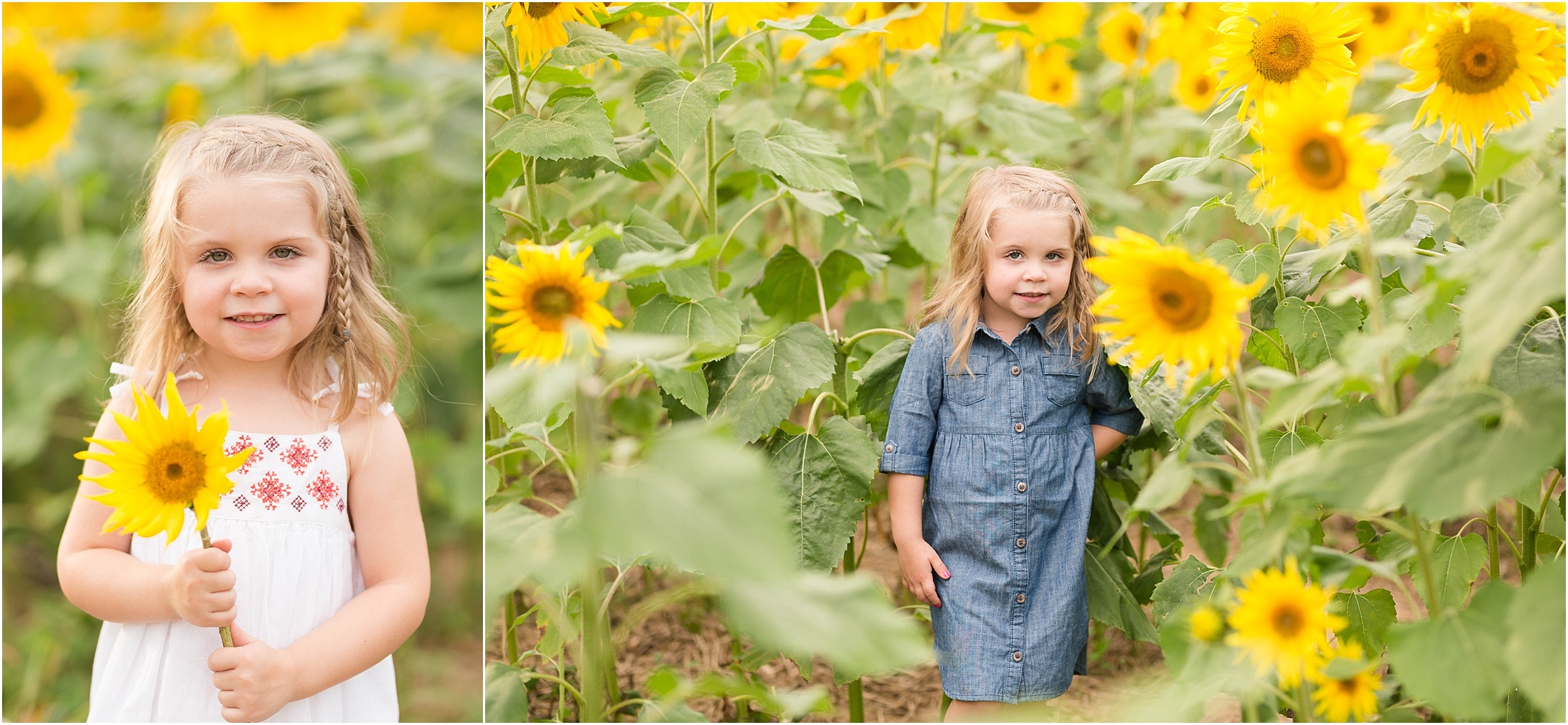 carroll-county-photographer-sunflower-field-31.jpg