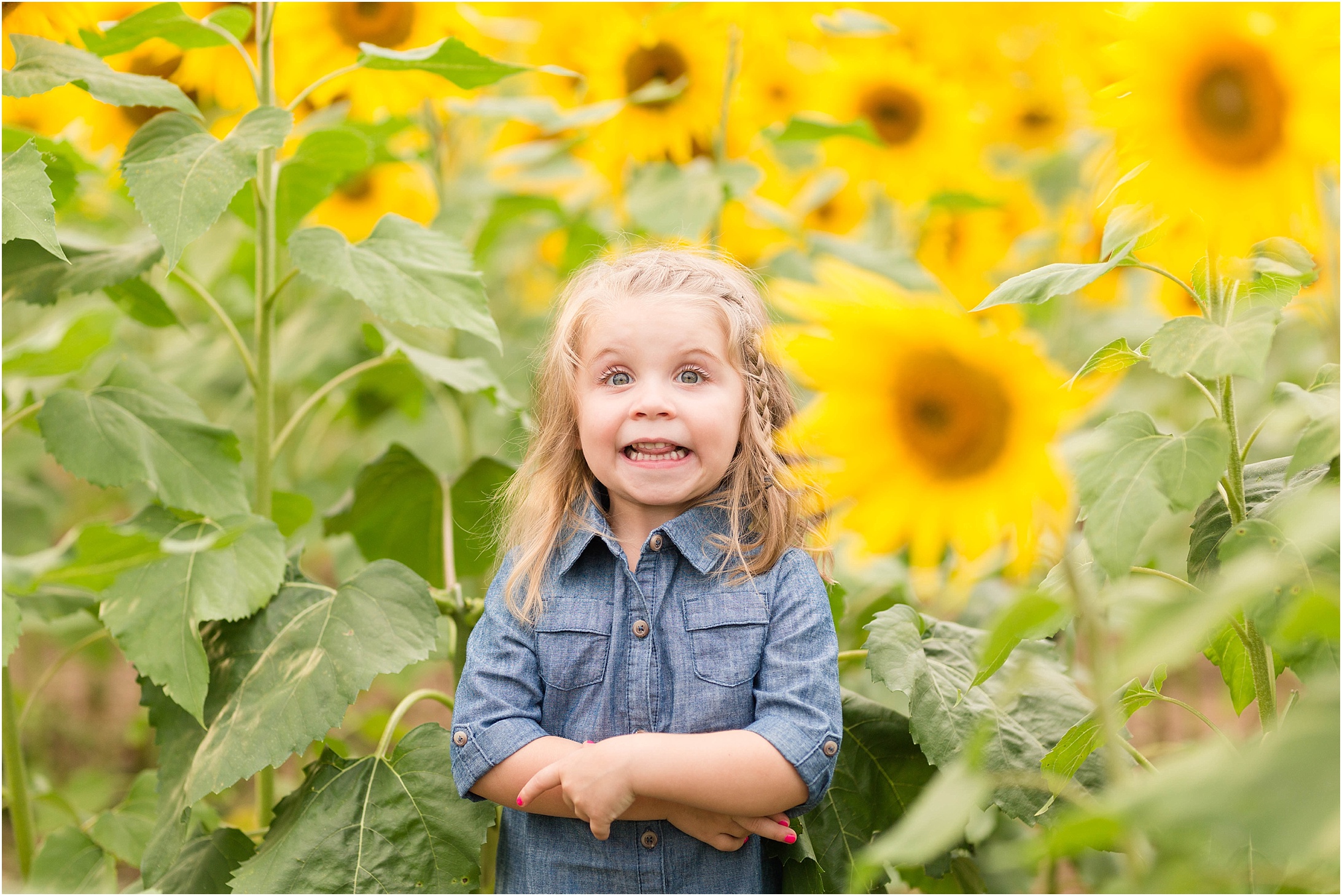 carroll-county-photographer-sunflower-field-37.jpg