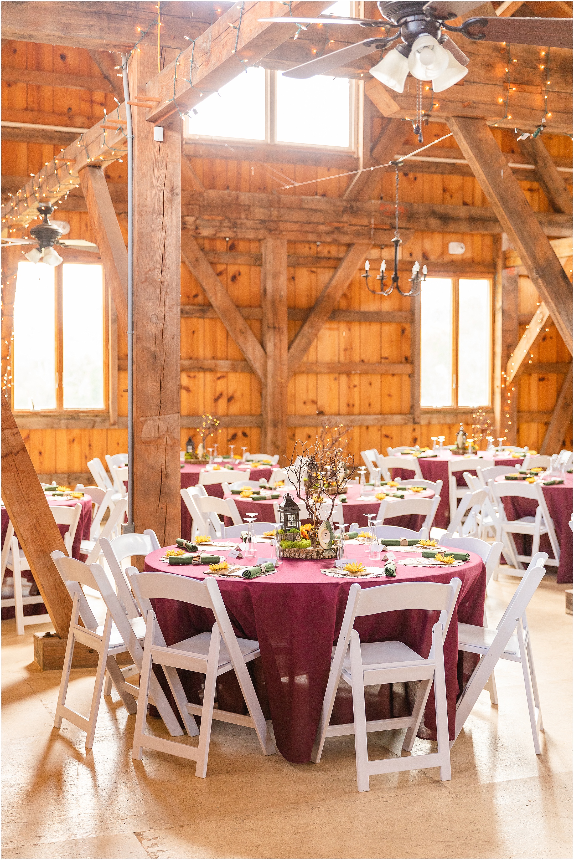 Wild-Goose-Farm-Wedding-Photos_0415.jpg