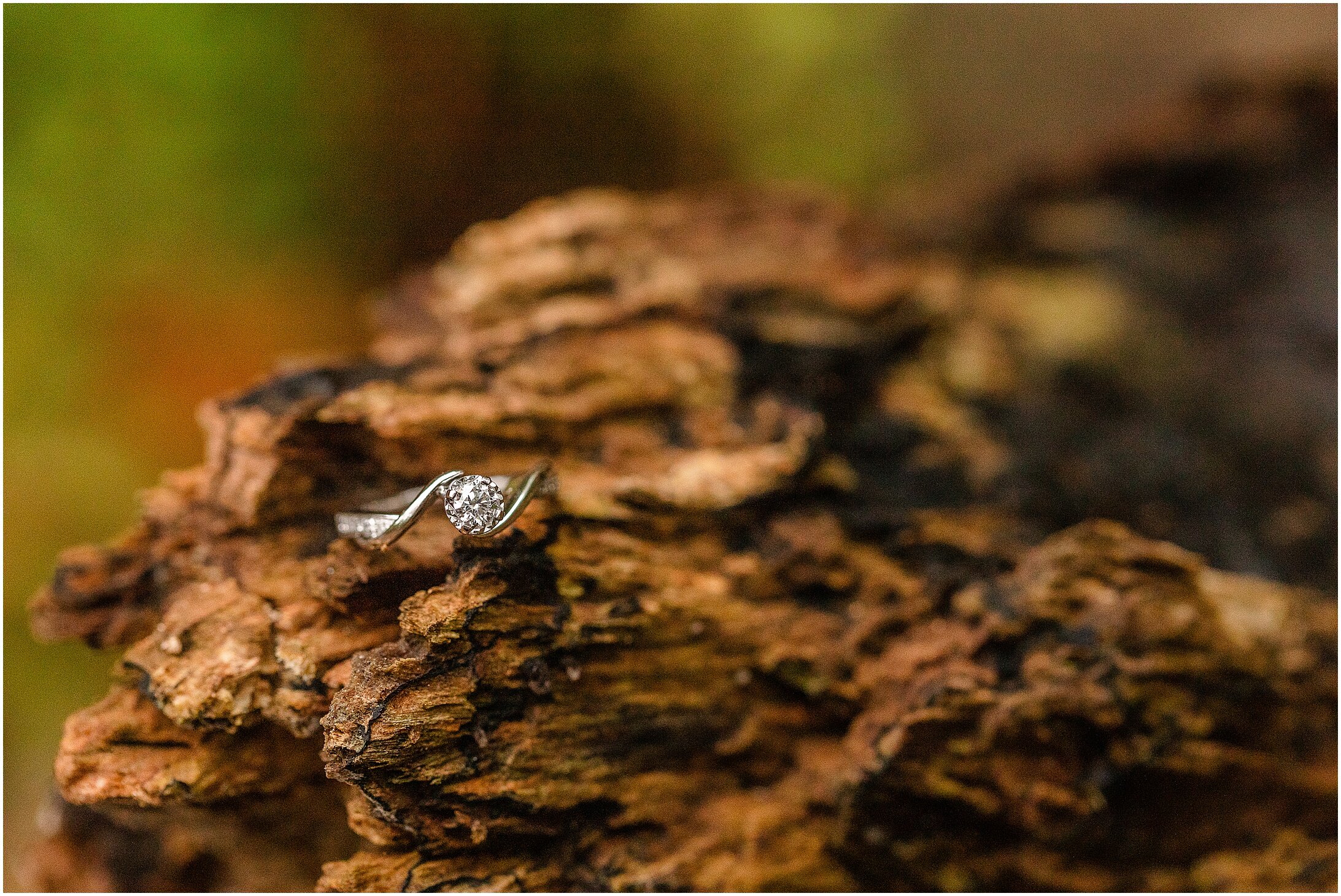 Baltimore-Engagement-Photographer_0184.jpg