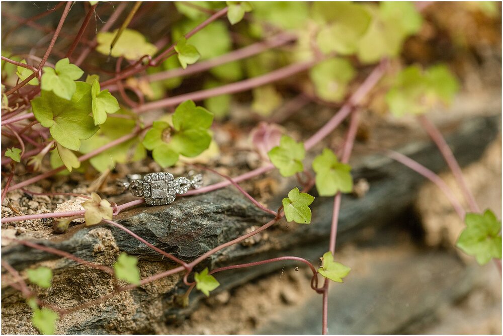 Harpers-ferry-engagement-photos_0114.jpg