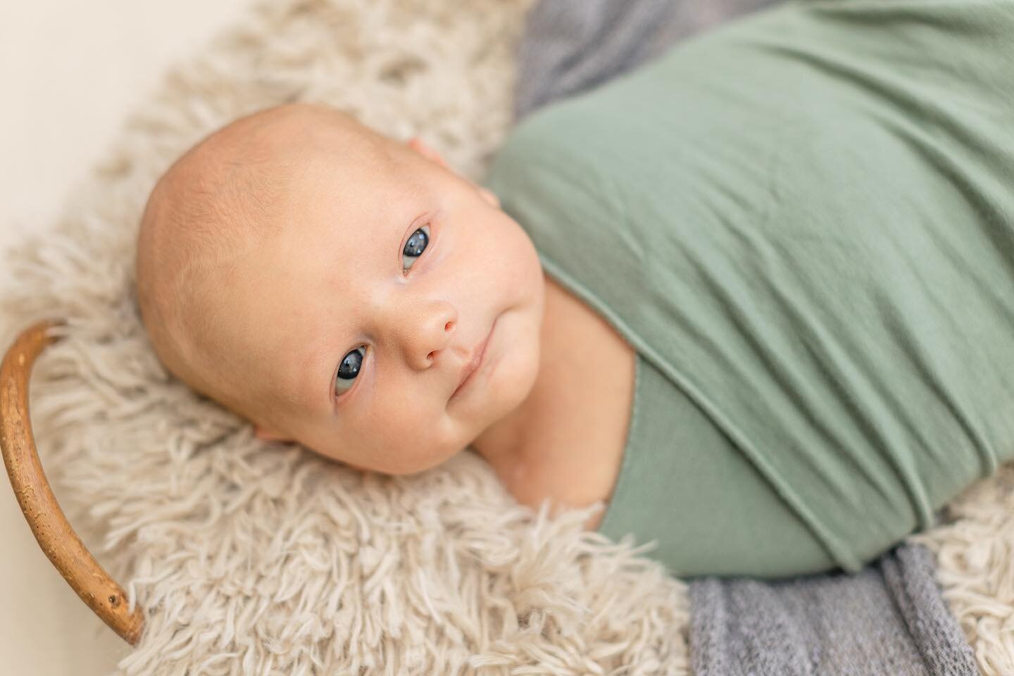 Baby Nathan&rsquo;s gallery just hit his momma&rsquo;s inbox! 📨  Be prepared to see a lot more babies because I have 3 more sessions in the next week!