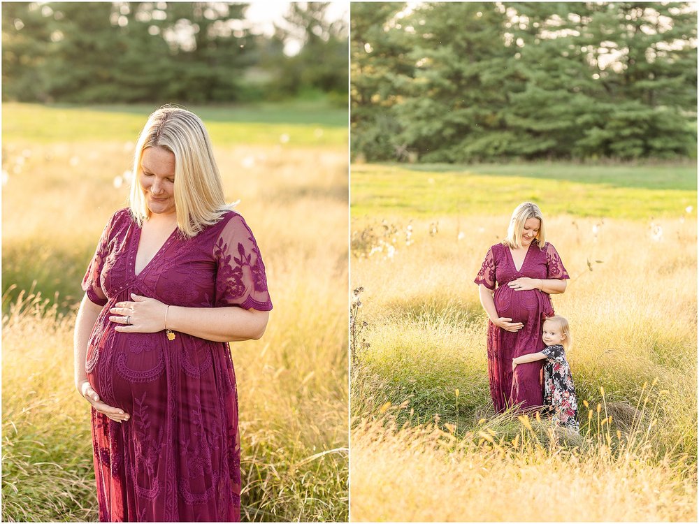 Carroll-county-Maryland-maternity-photographer_0270.jpg