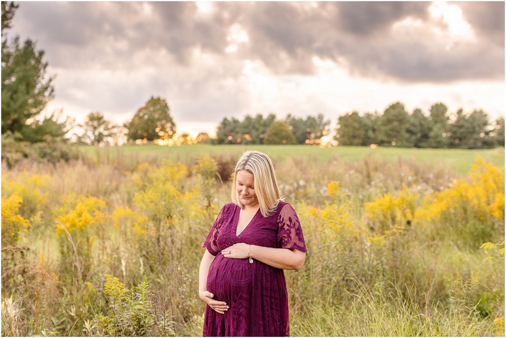 Carroll-county-Maryland-maternity-photographer_0287.jpg