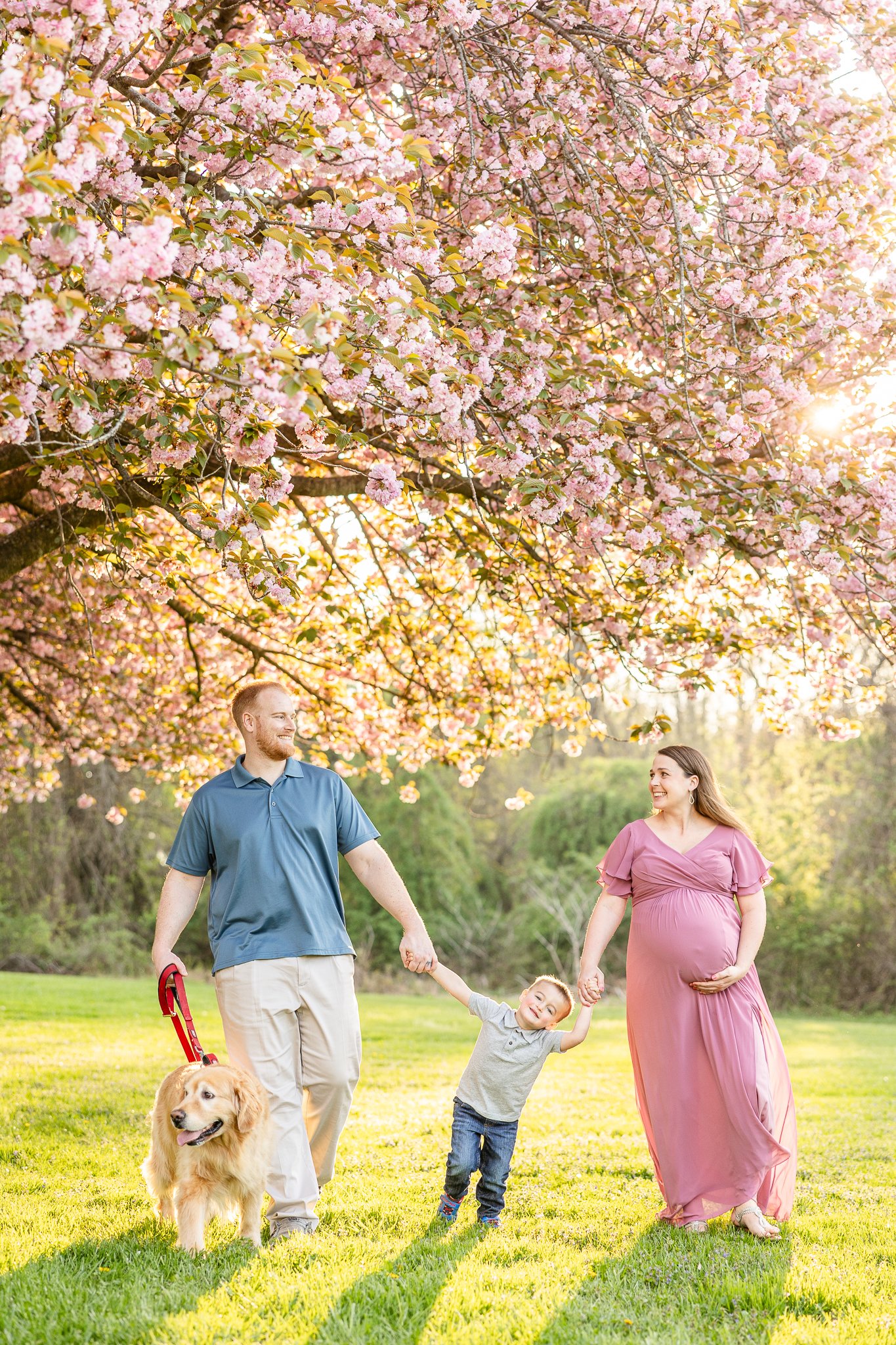 Westminster-maternity-photographer-900.jpg