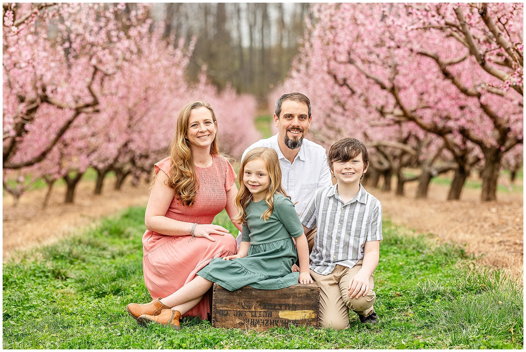 Spring Mini Sessions in Carroll County, Maryland