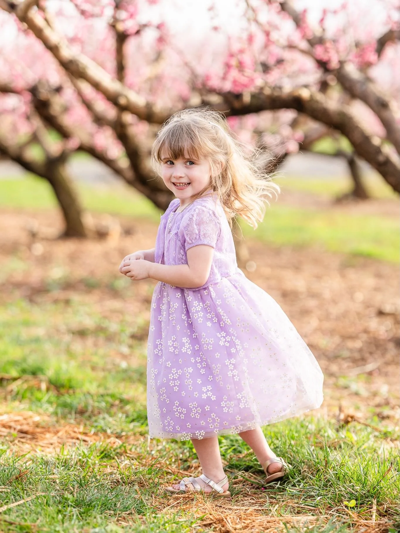 My first round of Spring Minis at Baugher&rsquo;s Orchard &amp; Farm was perfect! I couldn&rsquo;t have asked for more perfect weather on Friday!

#carrollcountyphotographer #springminis #westminstermd #baughersorchard