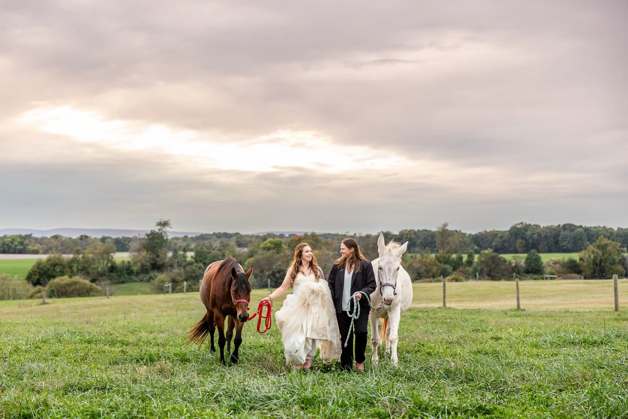 More highlights from Hannah &amp; Sandra&rsquo;s wedding day on their beautiful farm! 

Vendor Team

@carterquecatering 
@sofia_marraffa_art 
@thebullguys 
@dreamerseventrentals