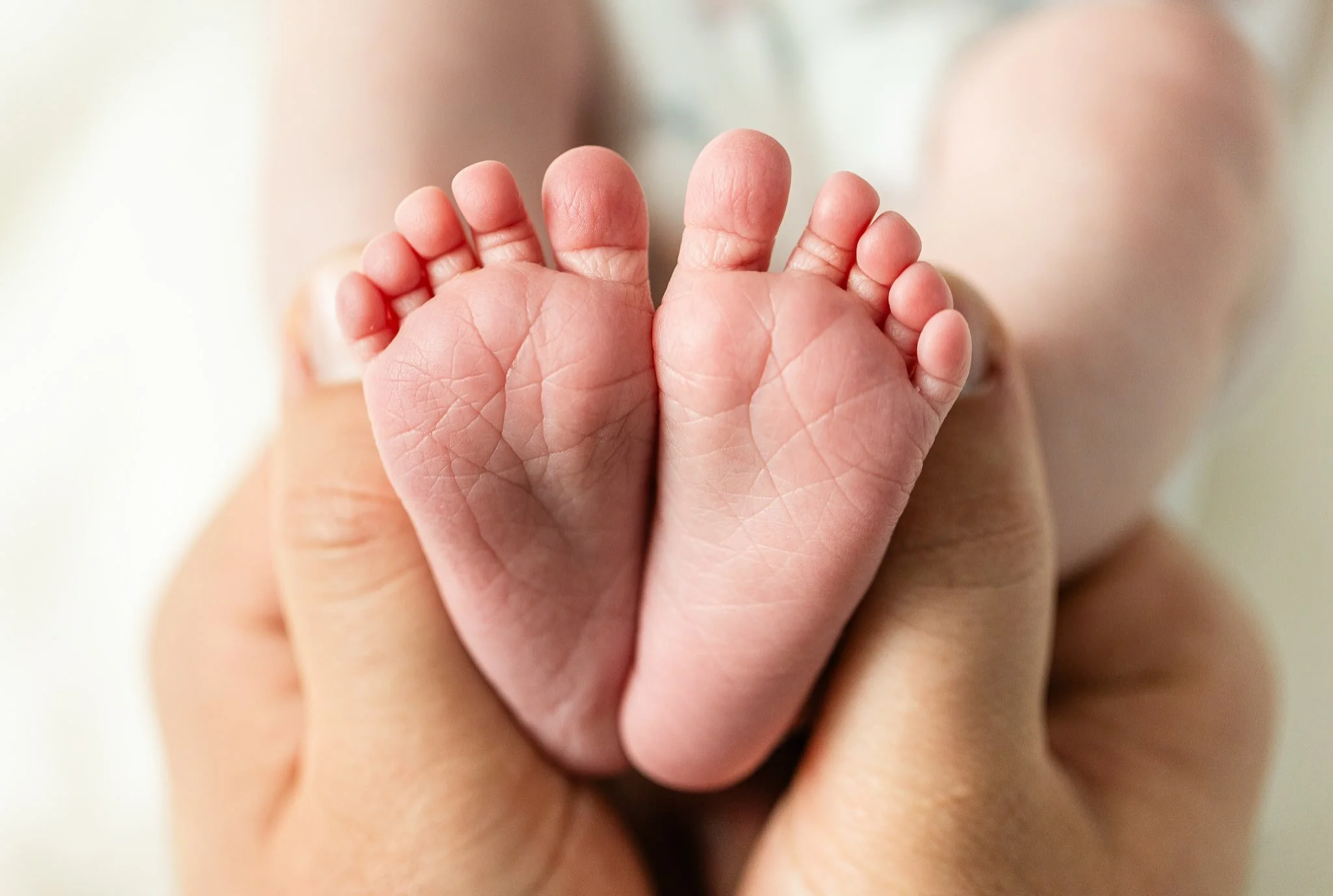 Earlier this week I got to capture these perfect little feet for the cutest family 👣 I have been loving all of my newborn sessions lately! 😍

#newbornphotographer #marylandfamilyphotographer #lifestylenewborn