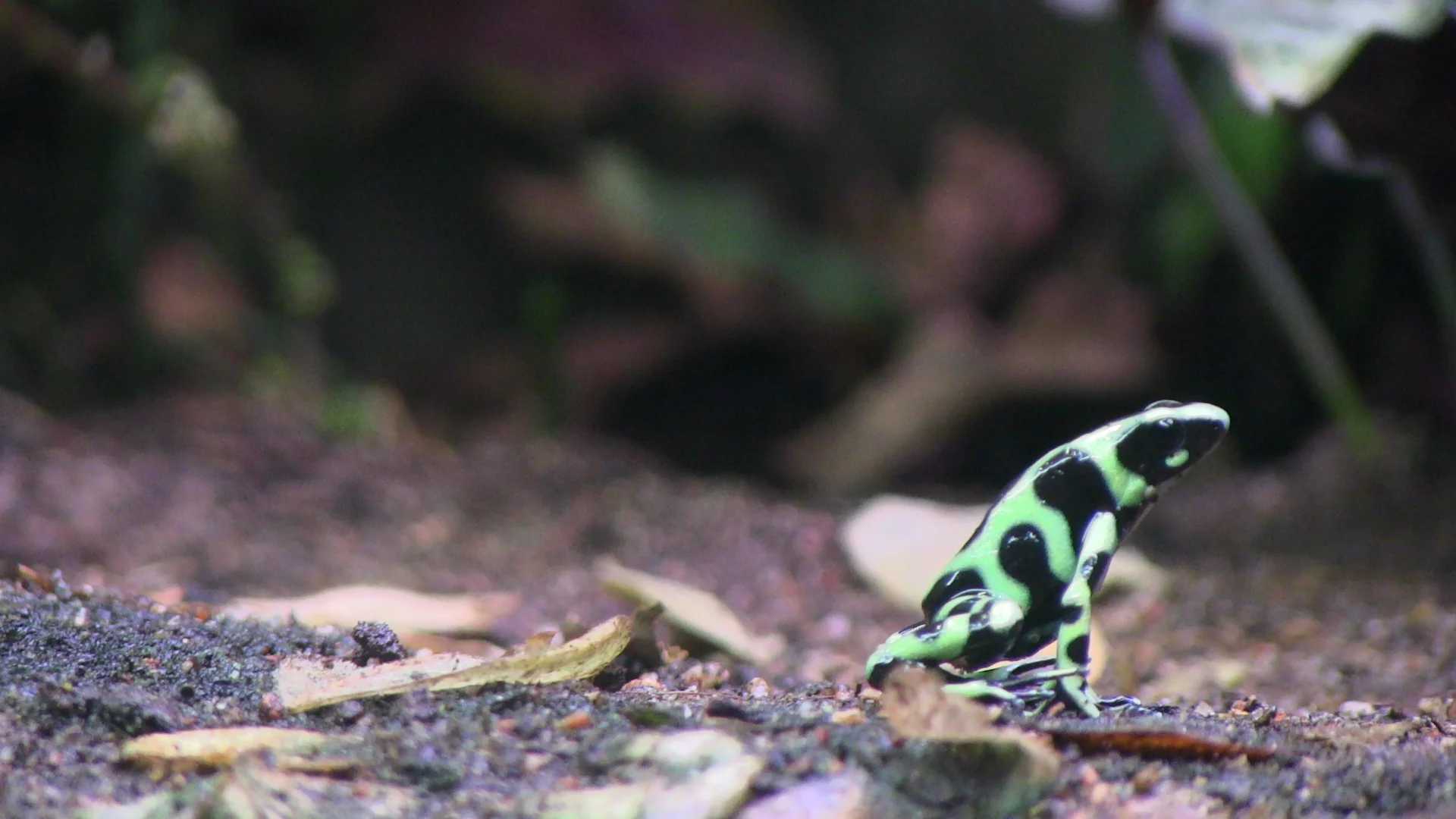 What Happens when you click explore?