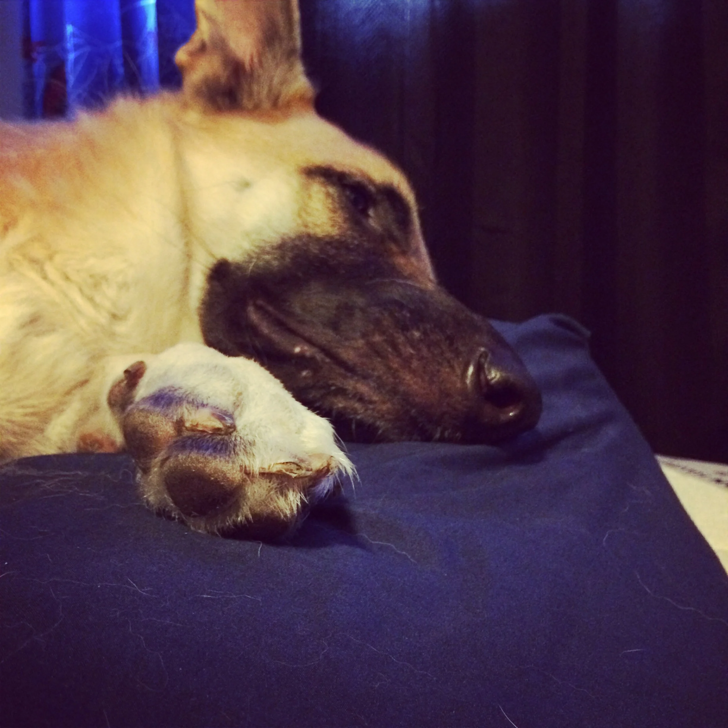 What I'm thinkin when I'm ..... Hiiiiiiiiiigggghh (Towlie voice)