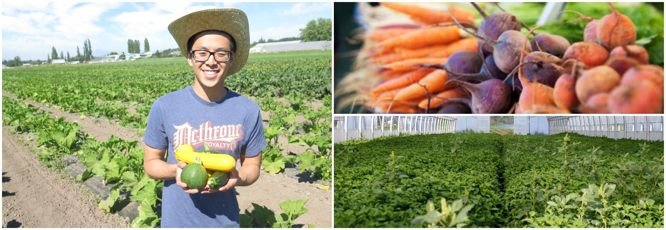 Employee, Pete with assorted squashes