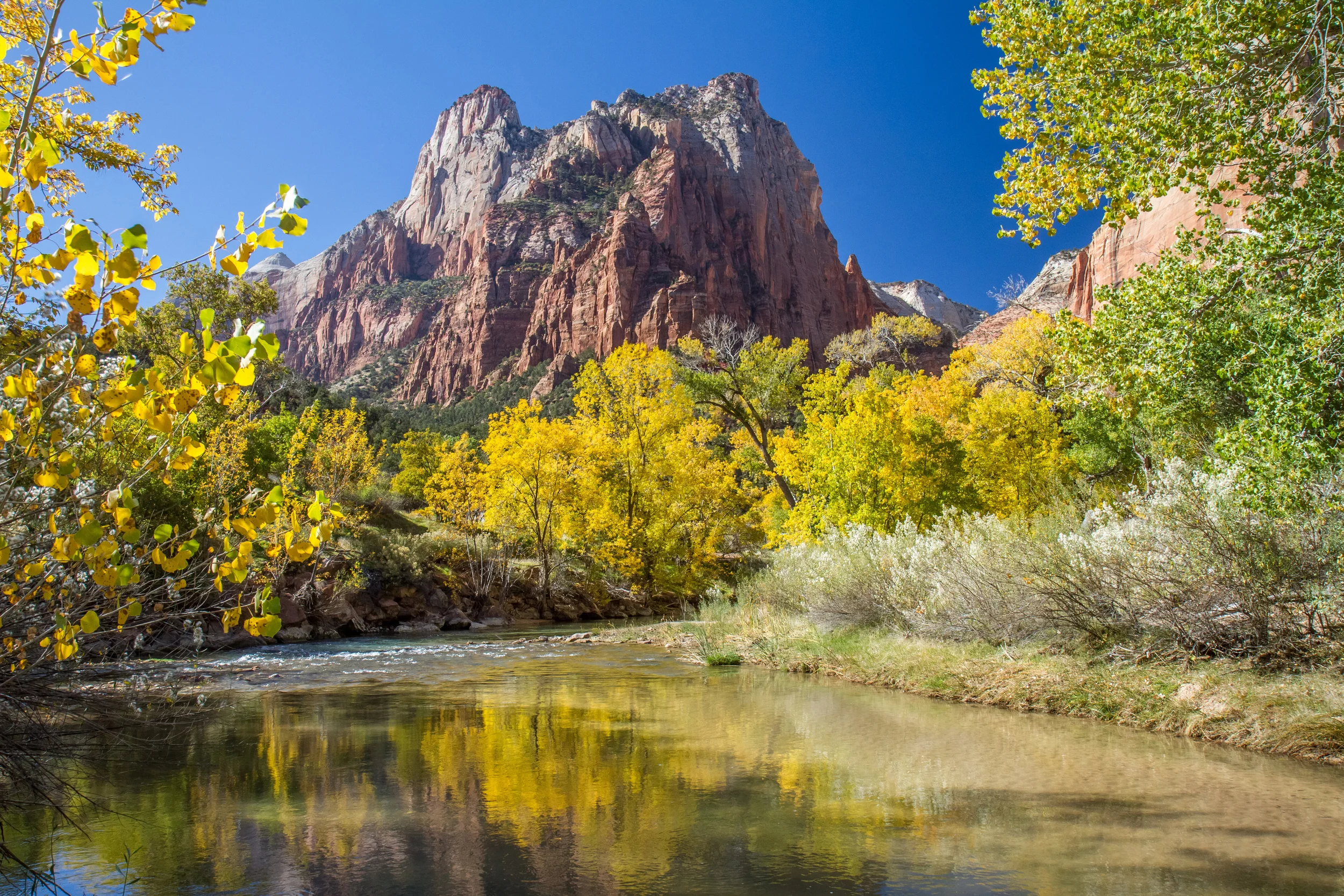 Zion National Park in Autumn