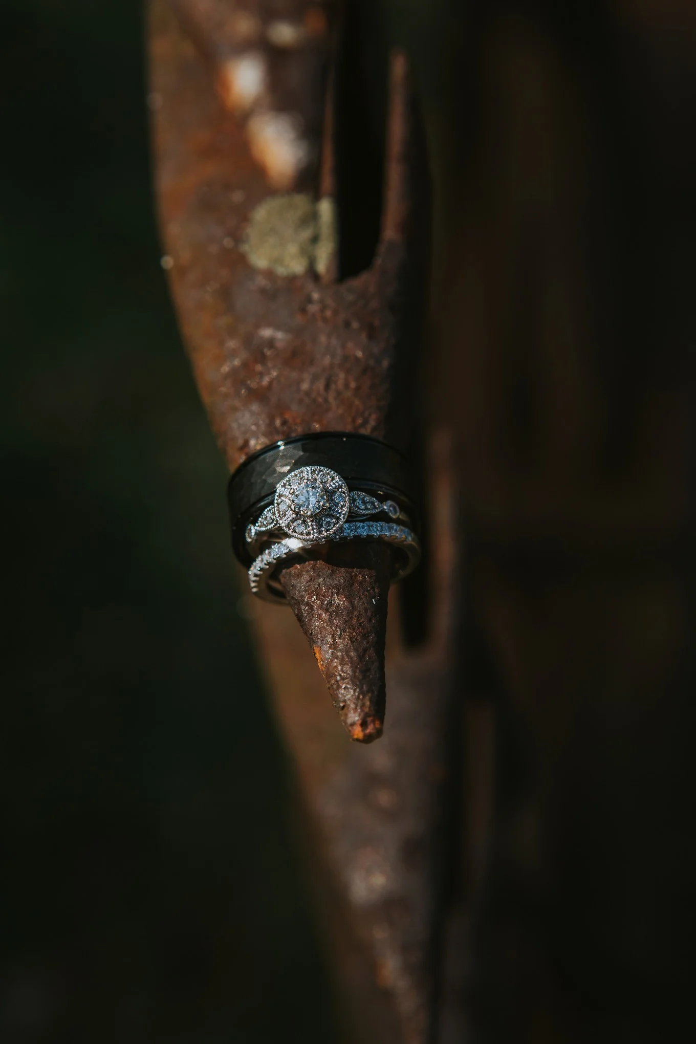 ringshot.jpg