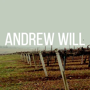 andrewwill.jpg