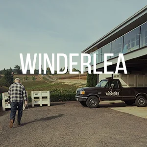 winderlea2.jpg
