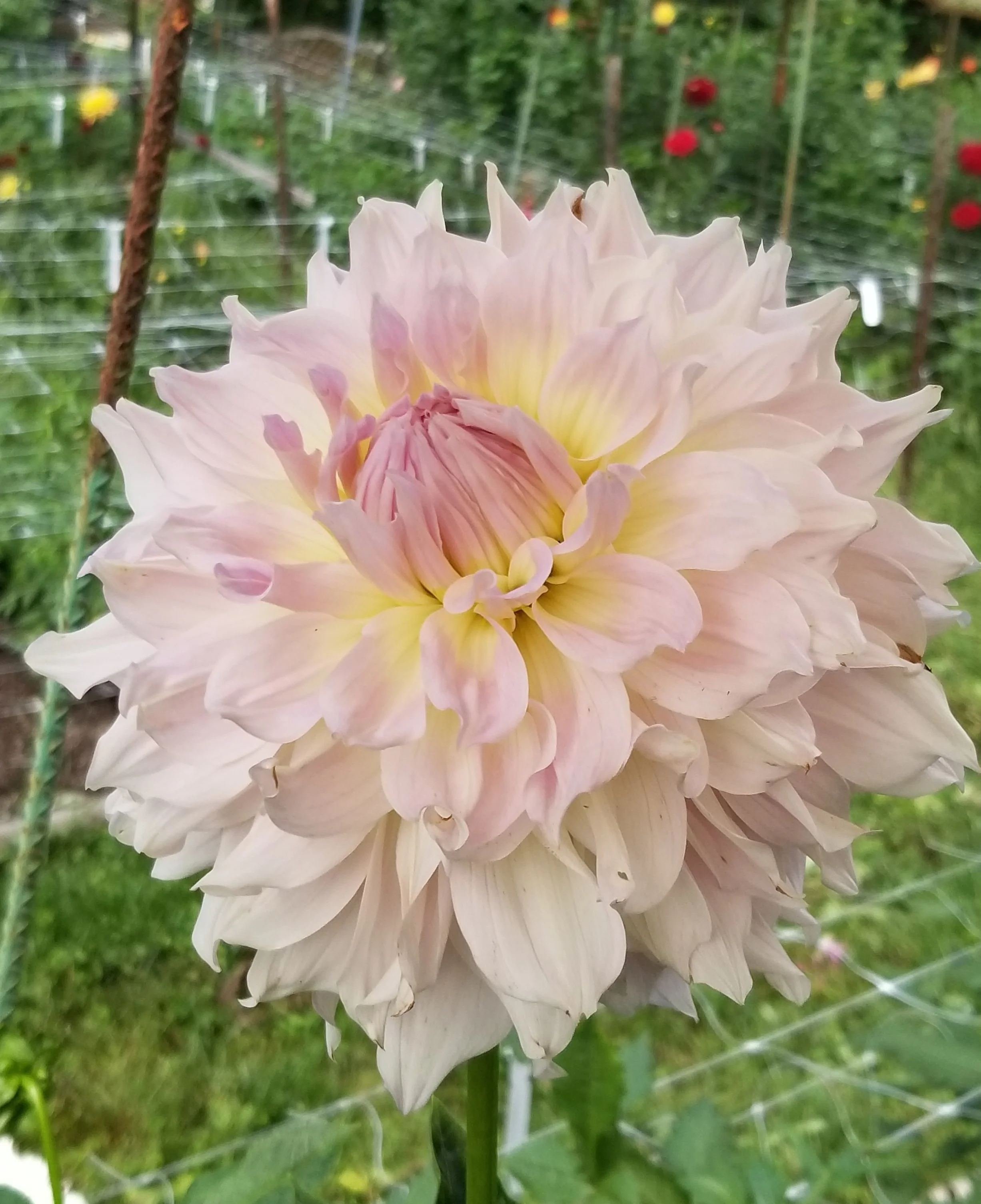 20180915_132824.jpg