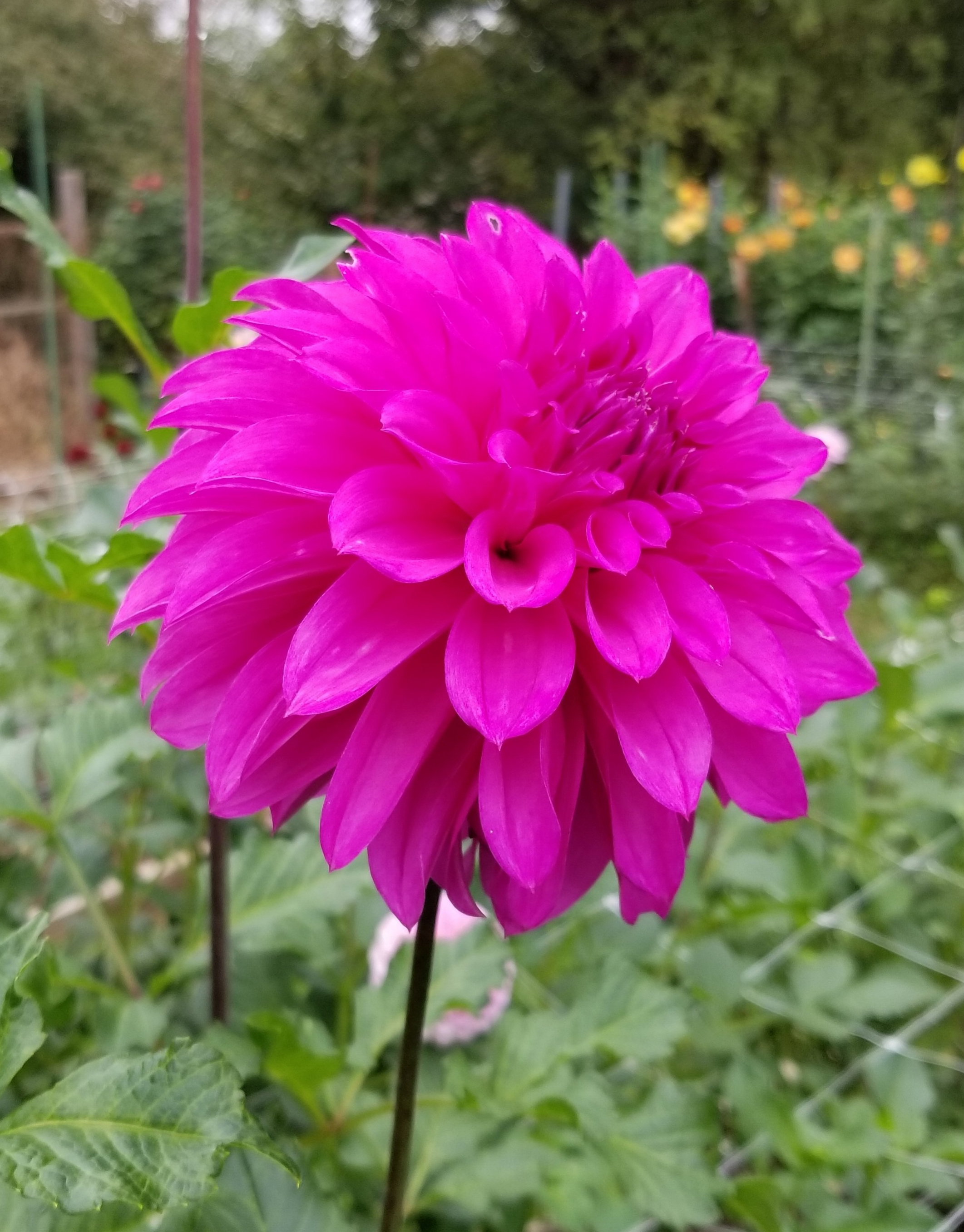 20181006_150939.jpg