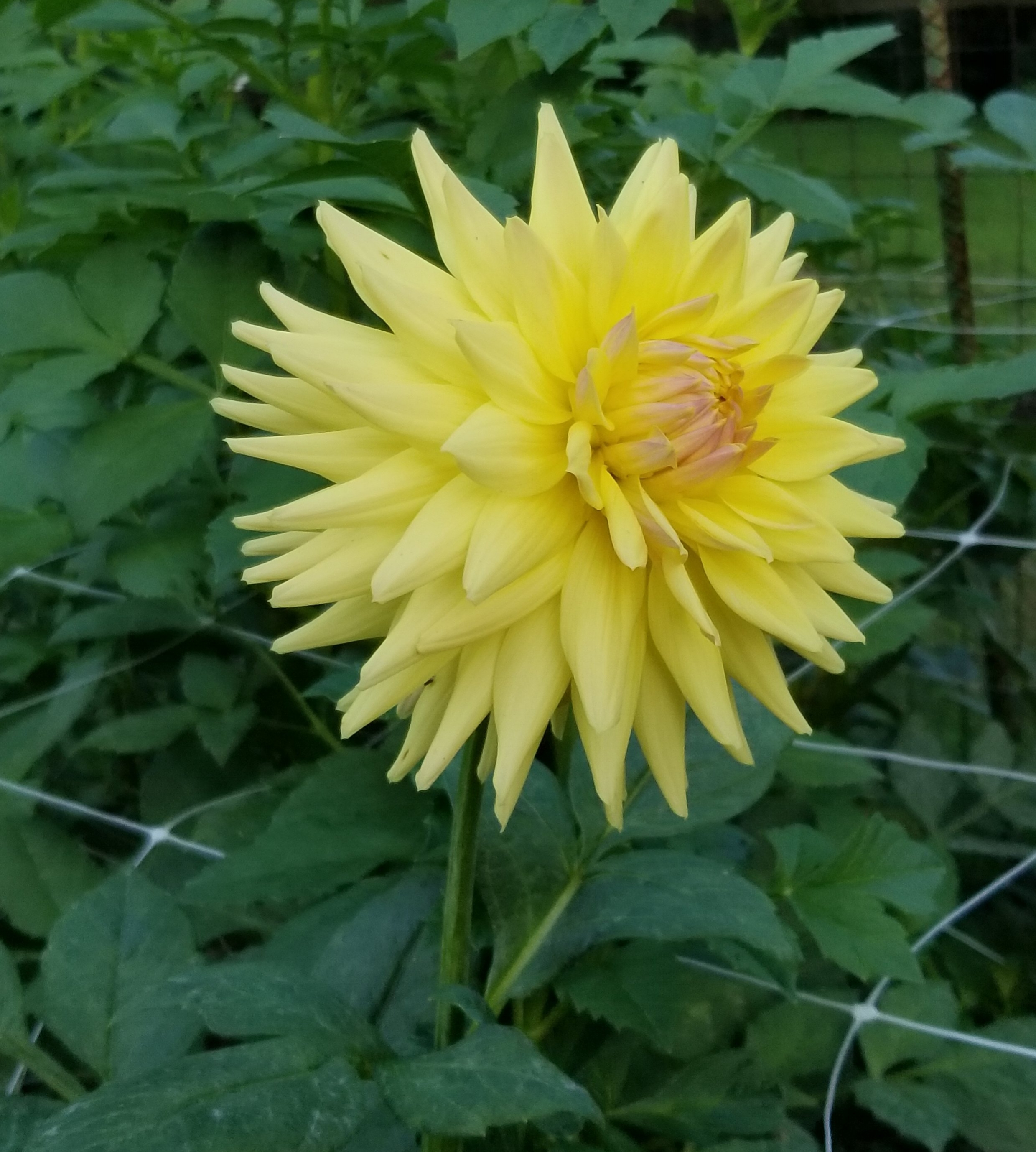 20181001_181909.jpg