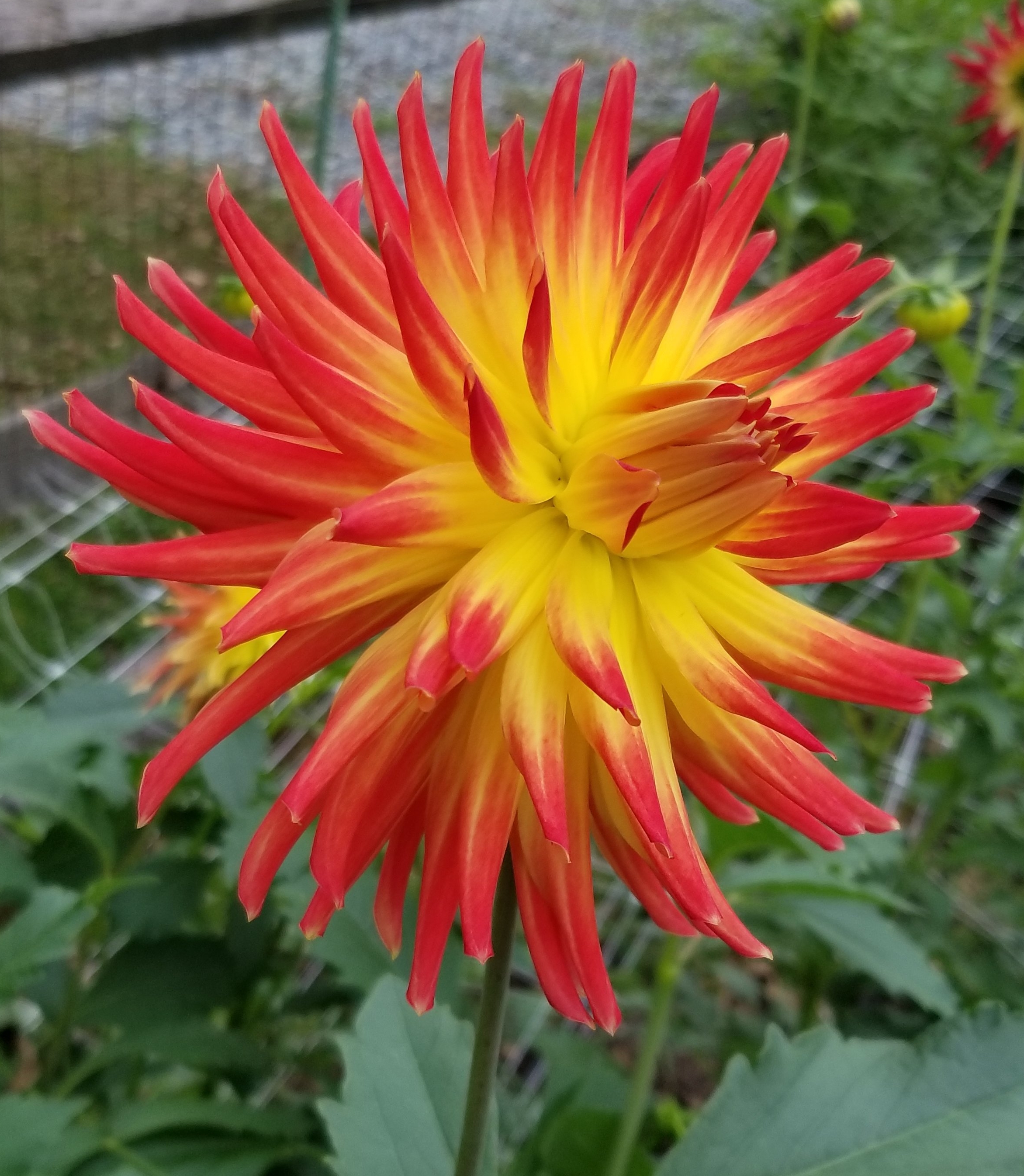 20181006_141544.jpg