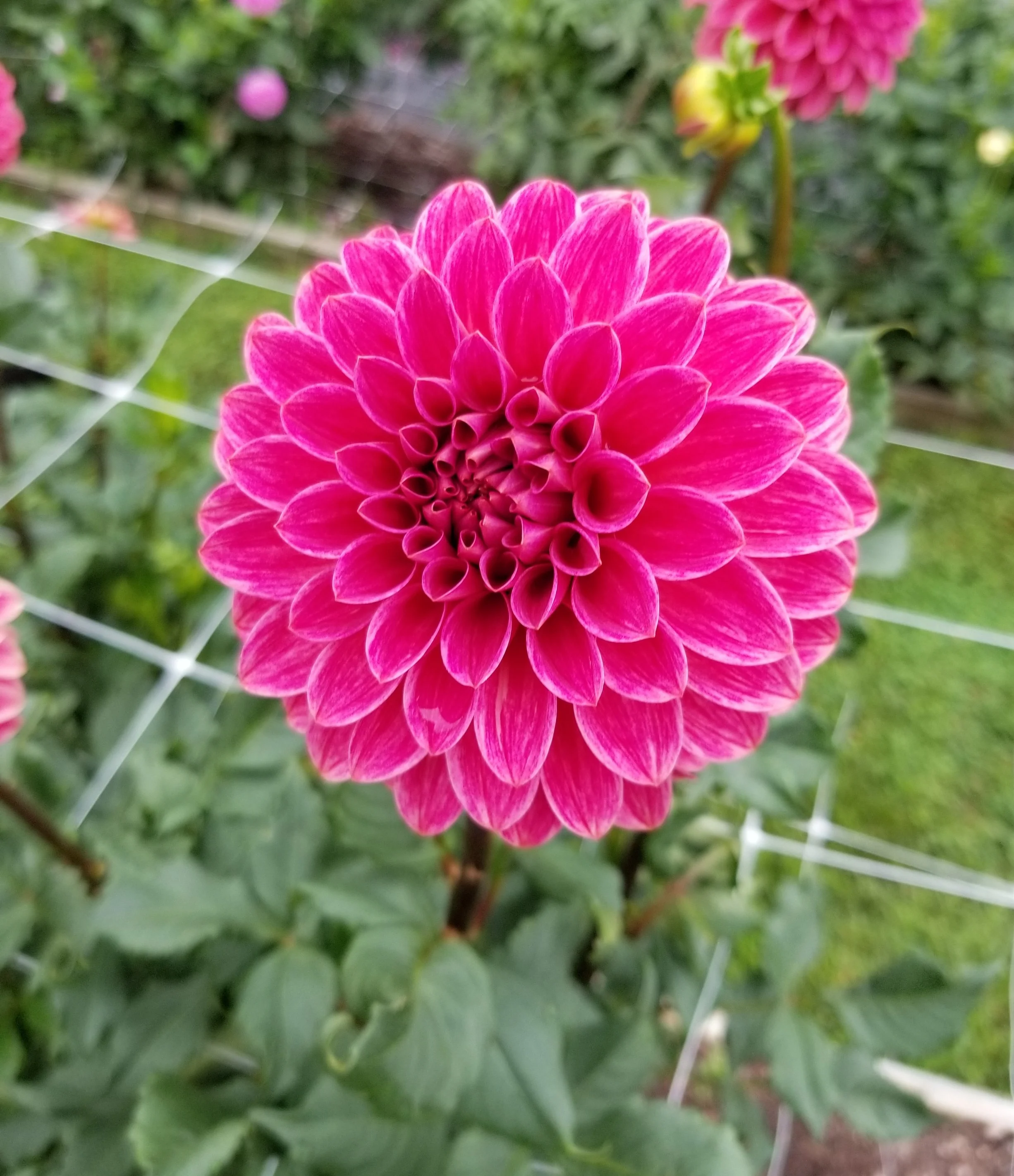 20180901_091155.jpg
