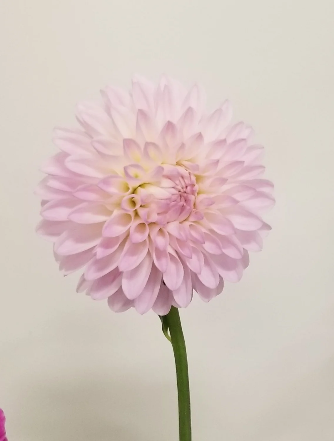 20180831_130606.jpg