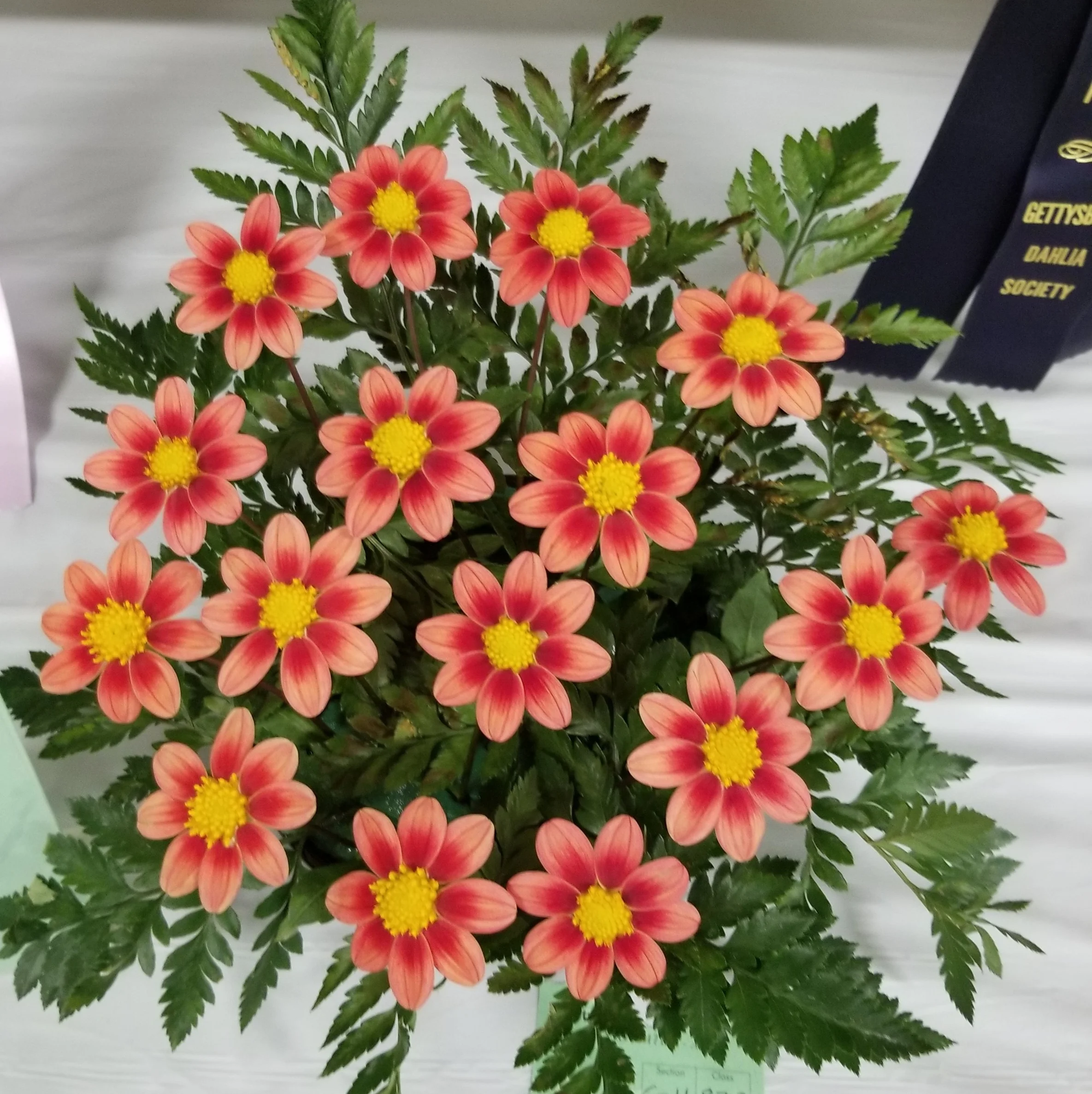 20180831_130853.jpg