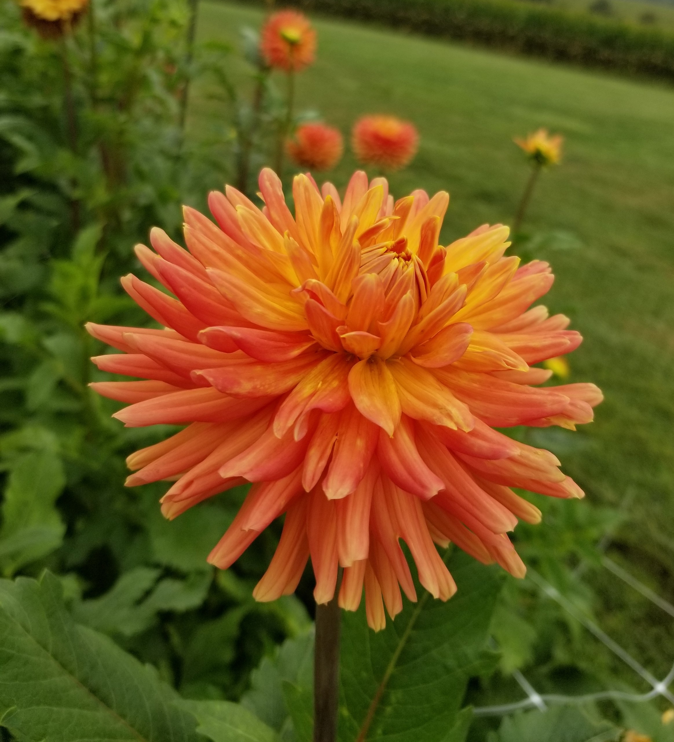 20180901_091119.jpg