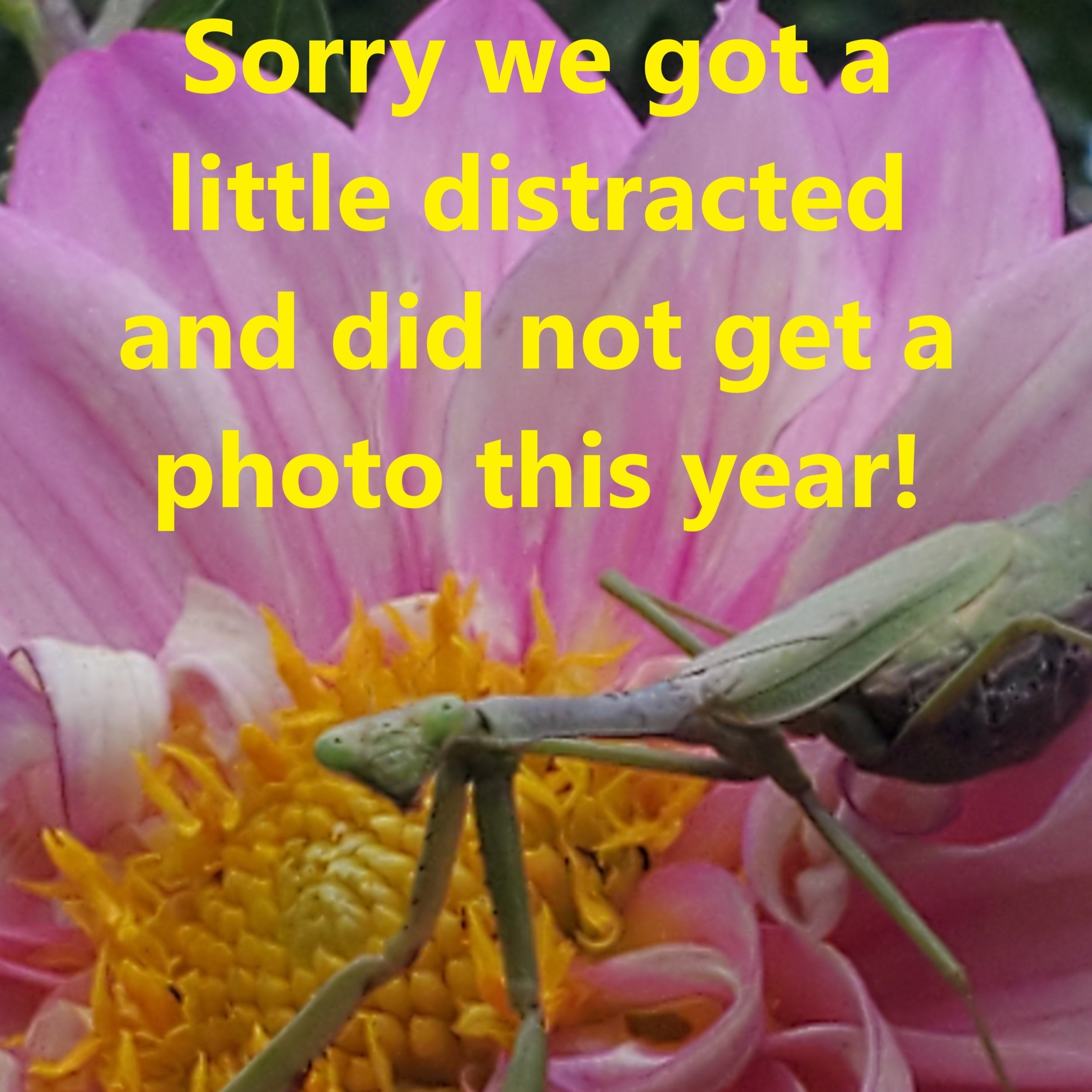 no+photo.jpg