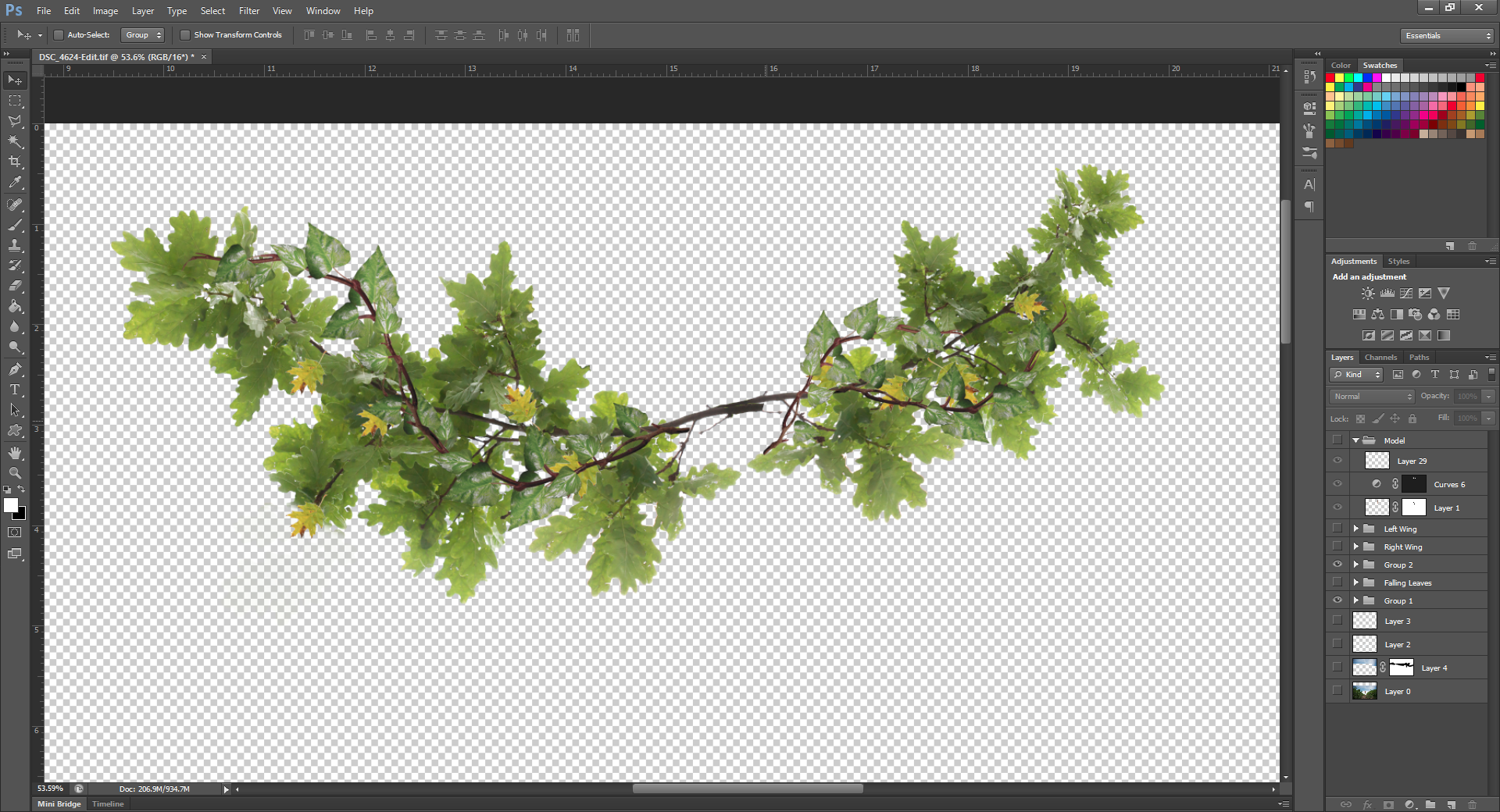 Composite of branches