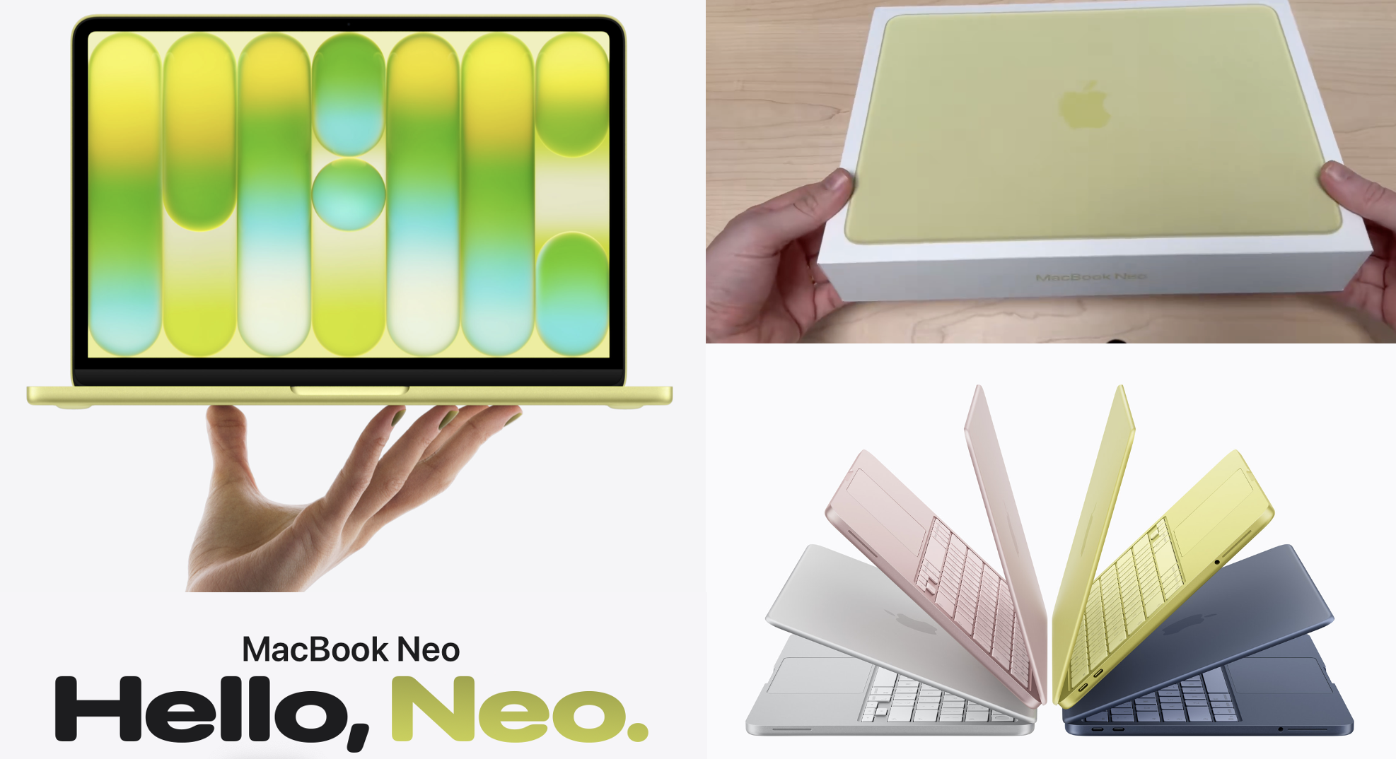 More Lime Than Lemon 